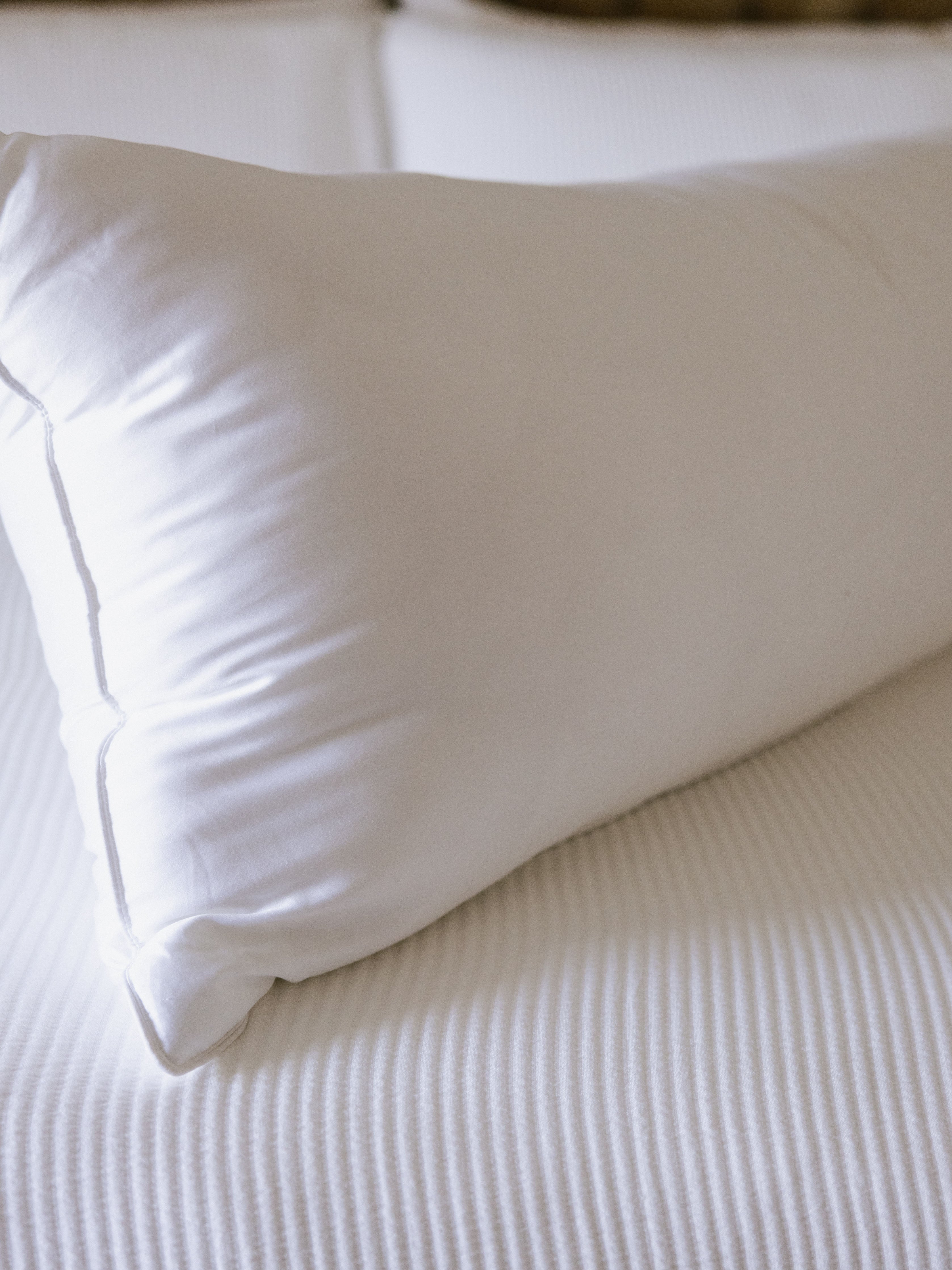 Bamboo Down Alternative Pillow