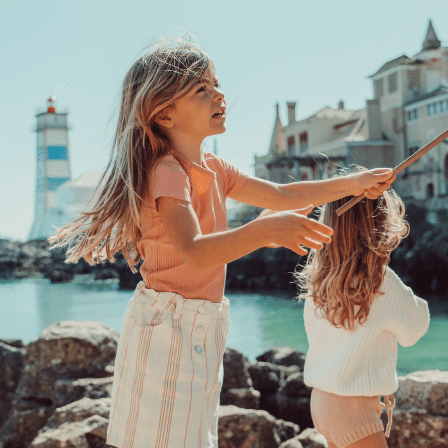 The Printed Short Sleeve Tee - Rose Stripe