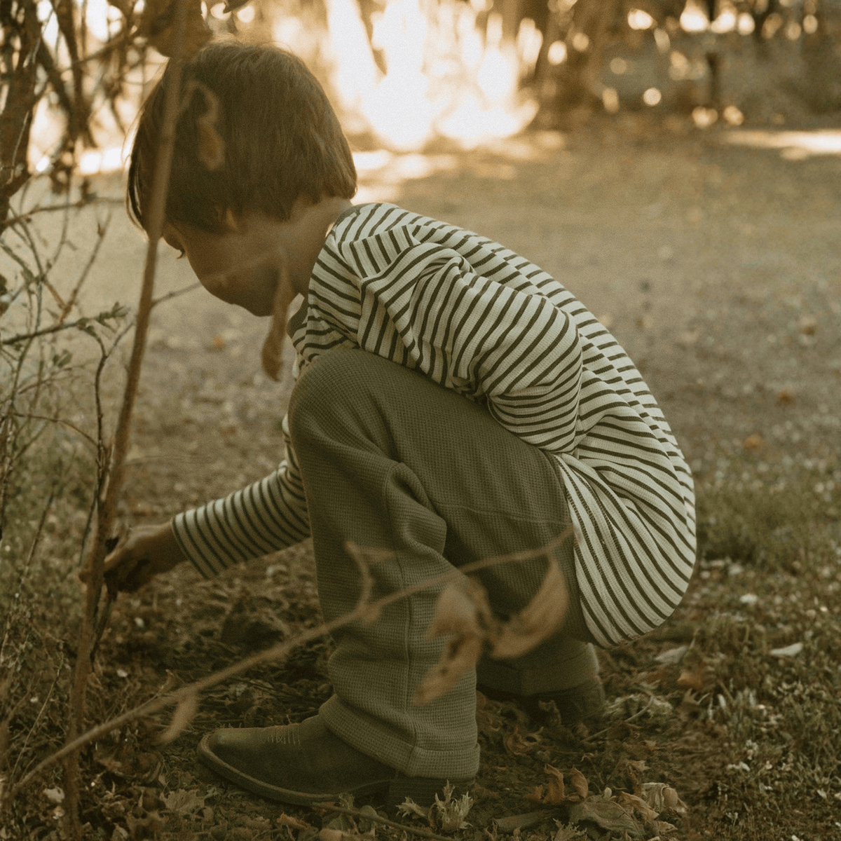 Organic Tee & Foldover Pants Set - Olive Stripes