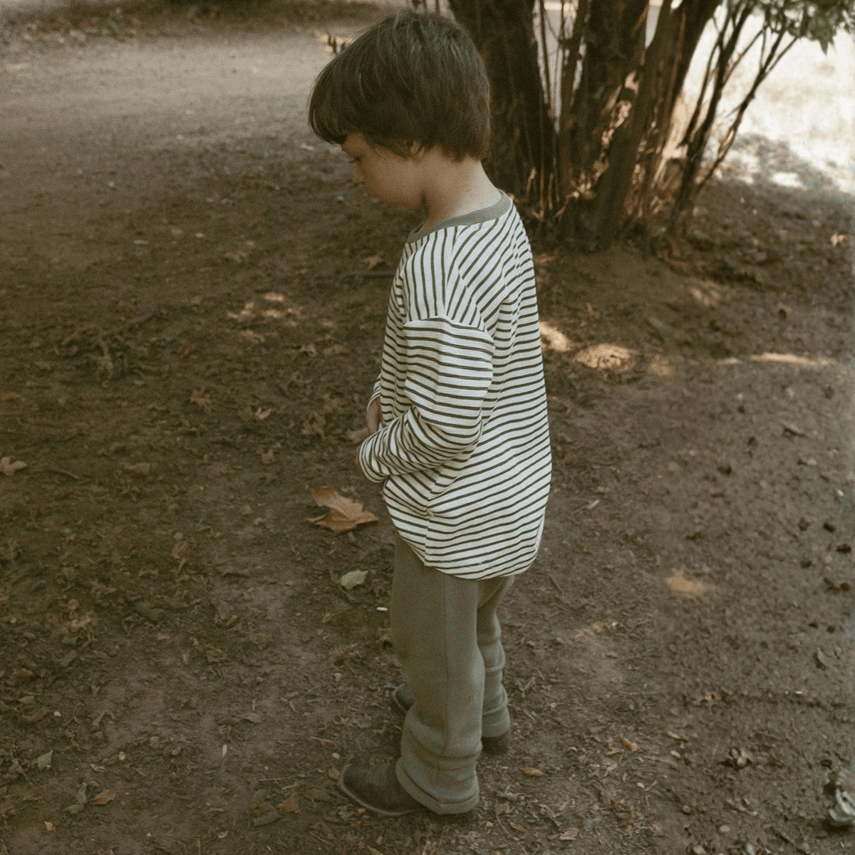 Organic Tee & Foldover Pants Set - Olive Stripes