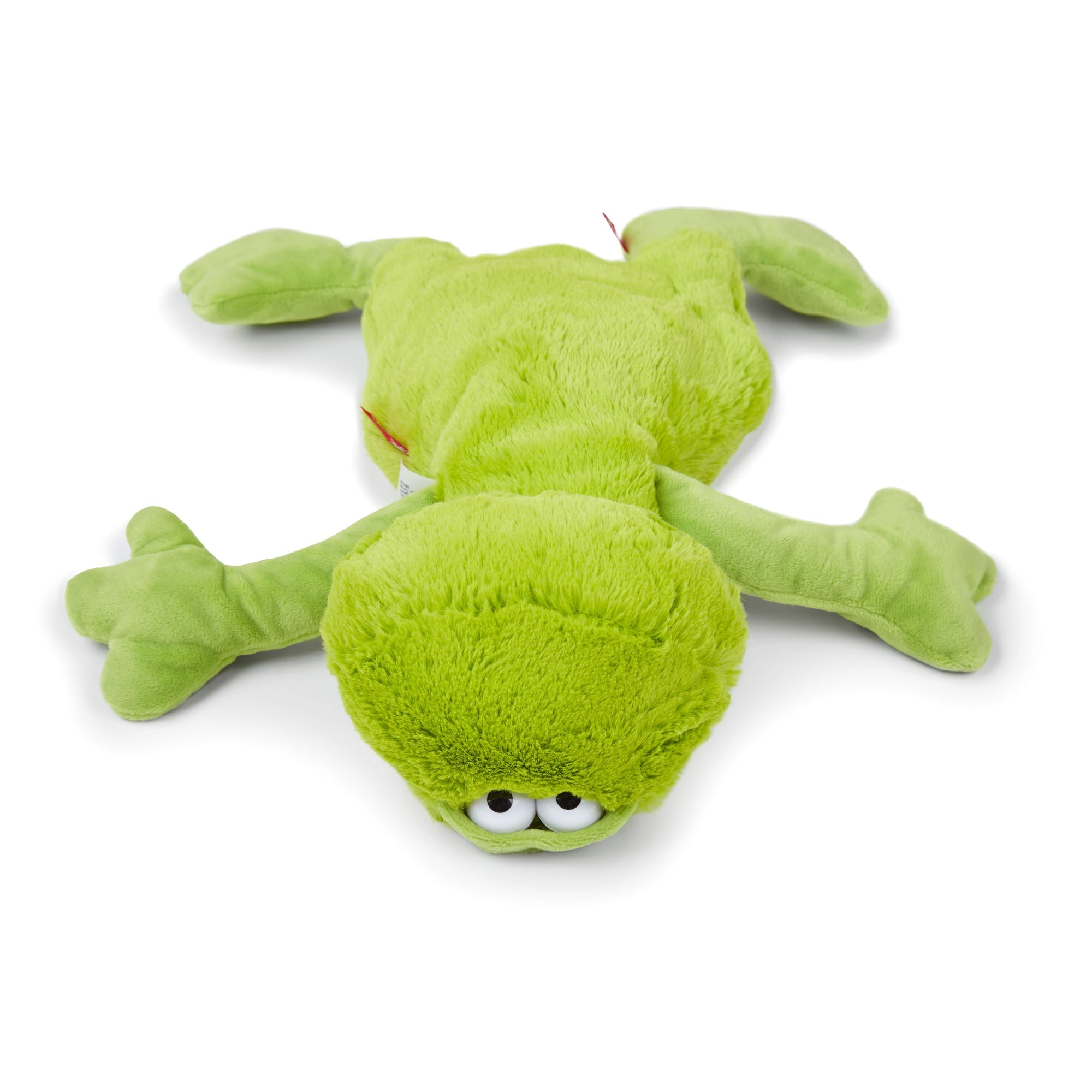 MOOD PET Frog