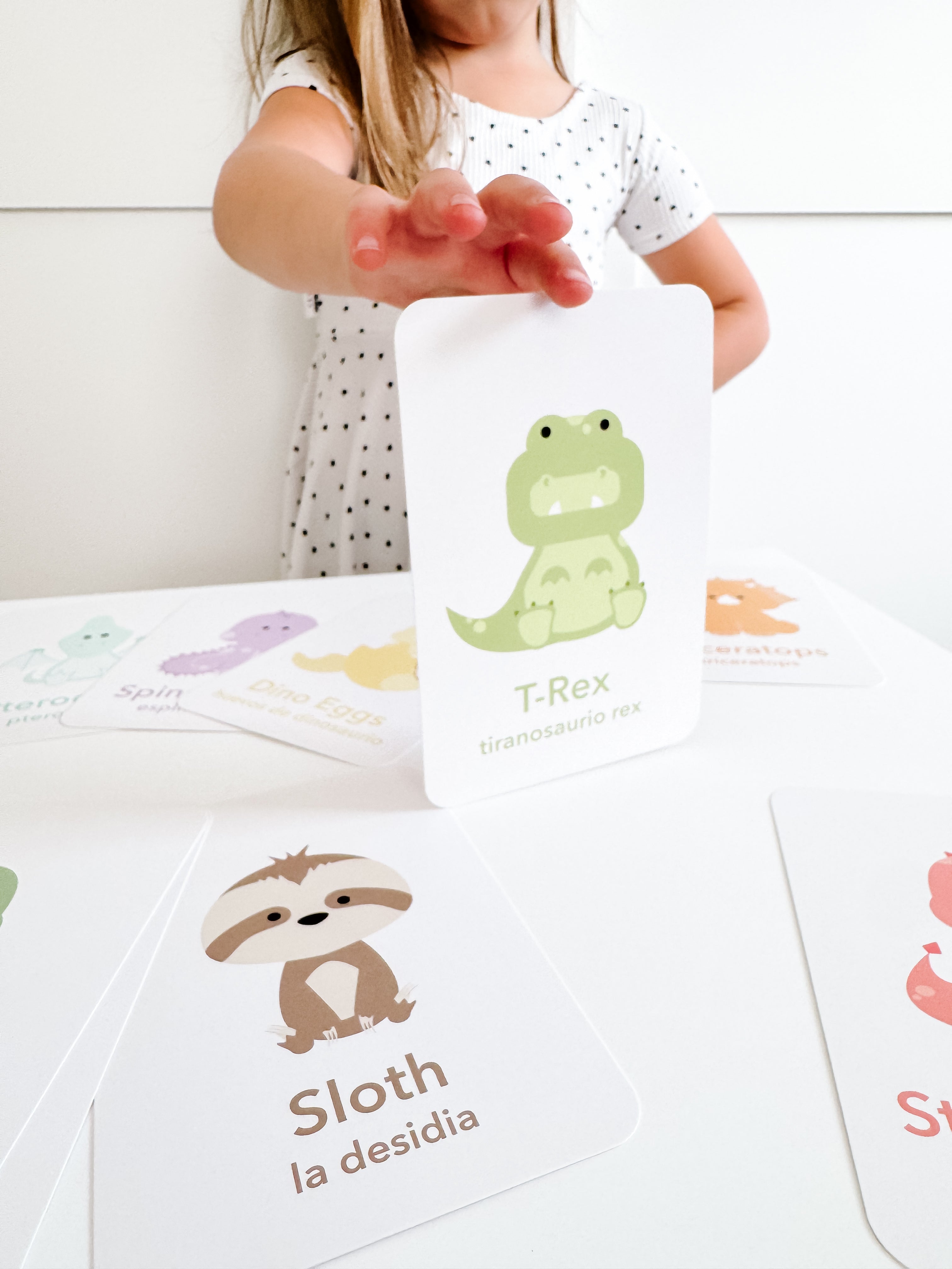 Dinosaur Flashcards