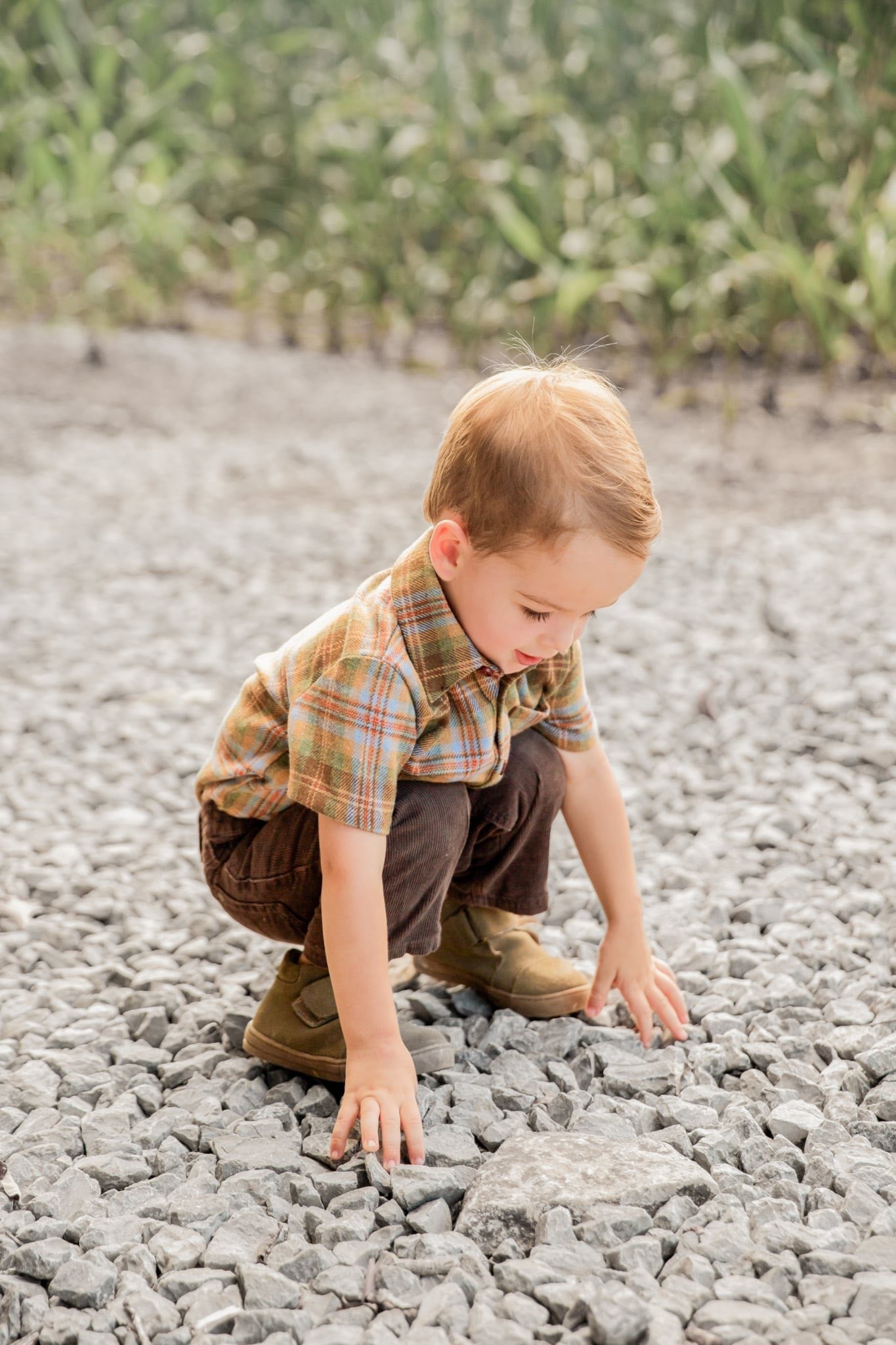 Golden Harvest Boy Shirt