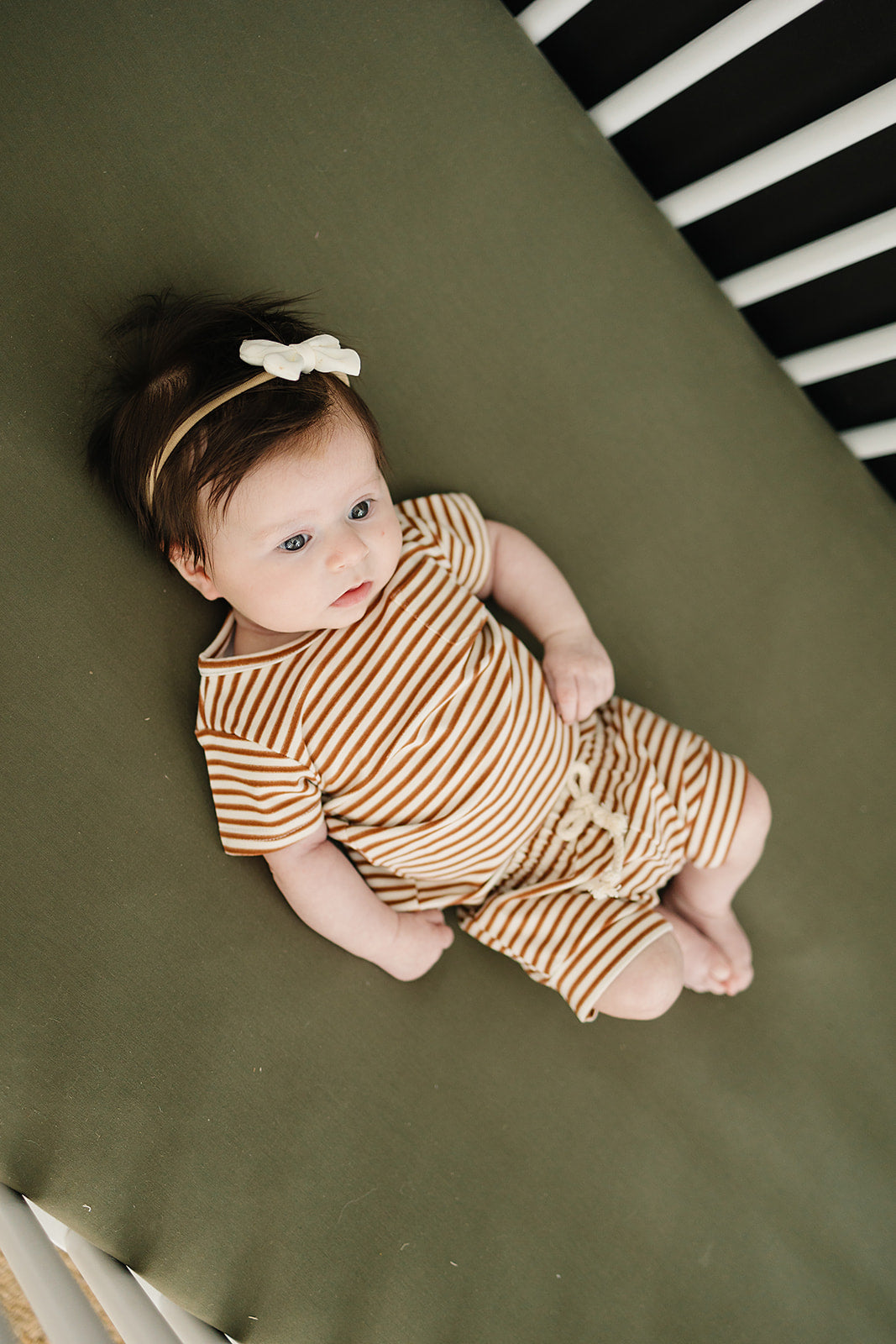 Olive Bamboo Stretch Crib Sheet  Mebie Baby   