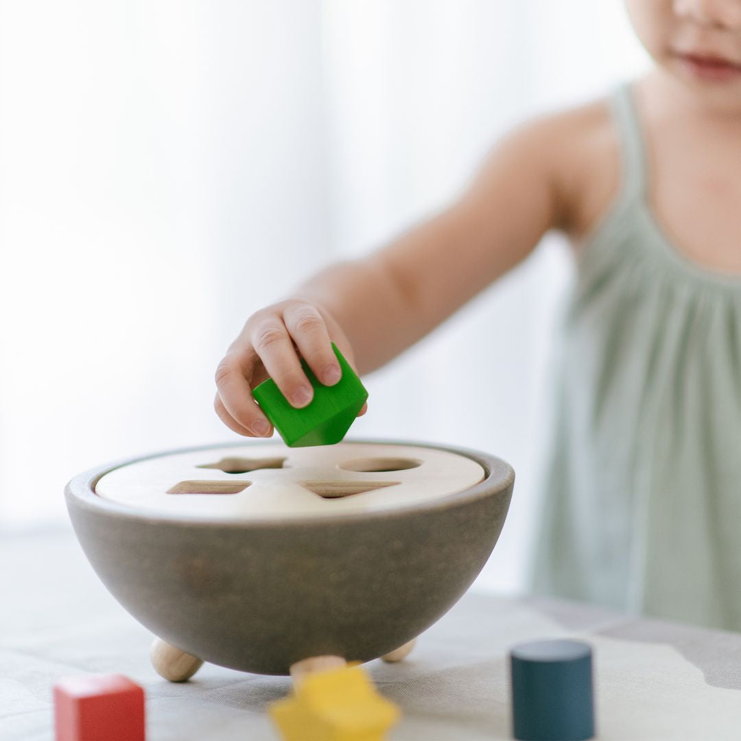 Shape Sorting Bowl  PlanToys   