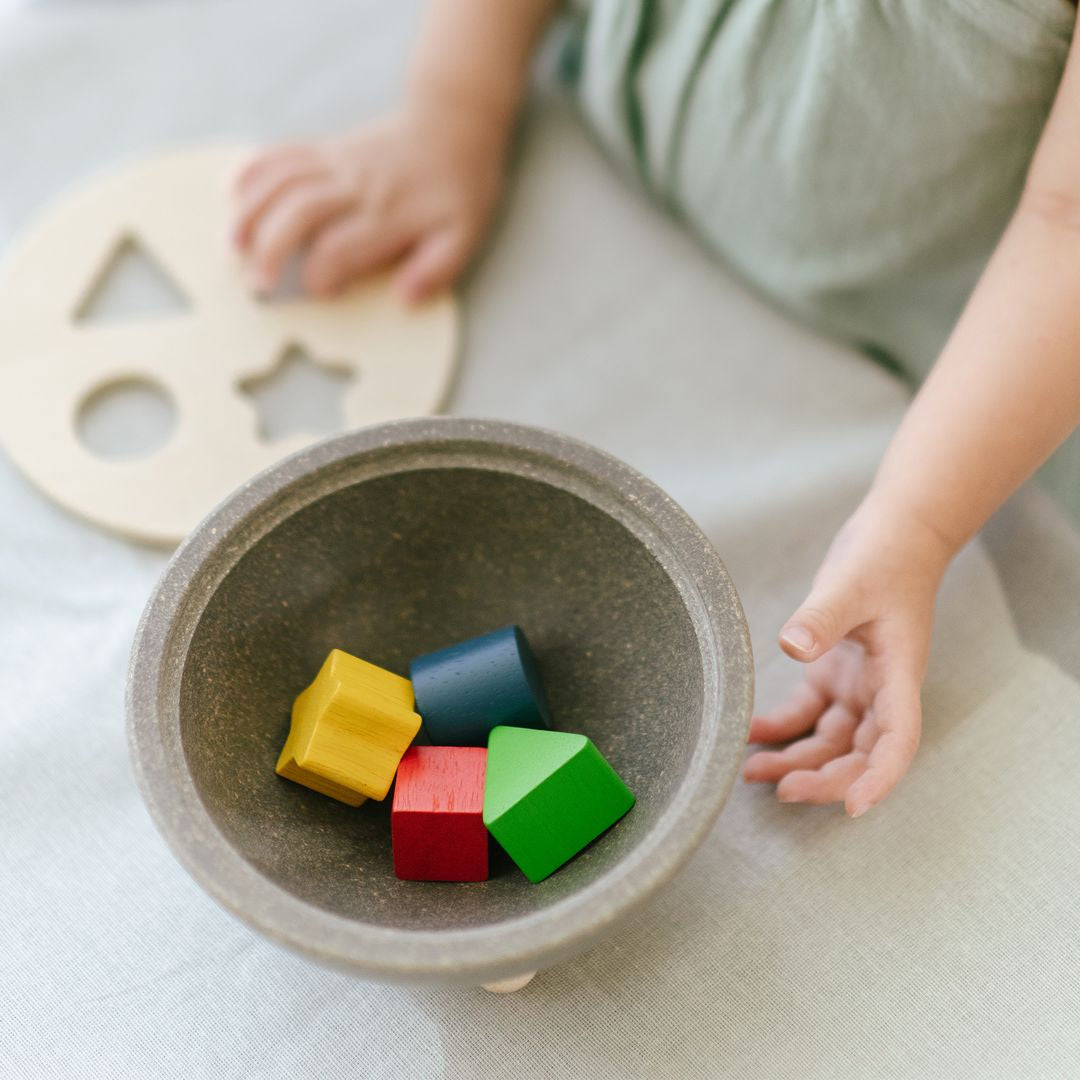 Shape Sorting Bowl  PlanToys   