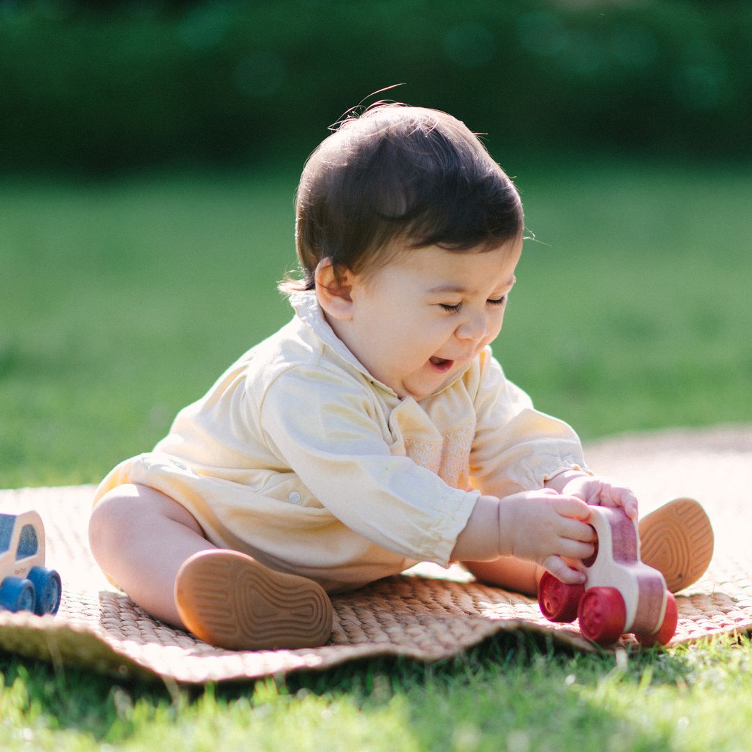 Timber Trail Cruiser