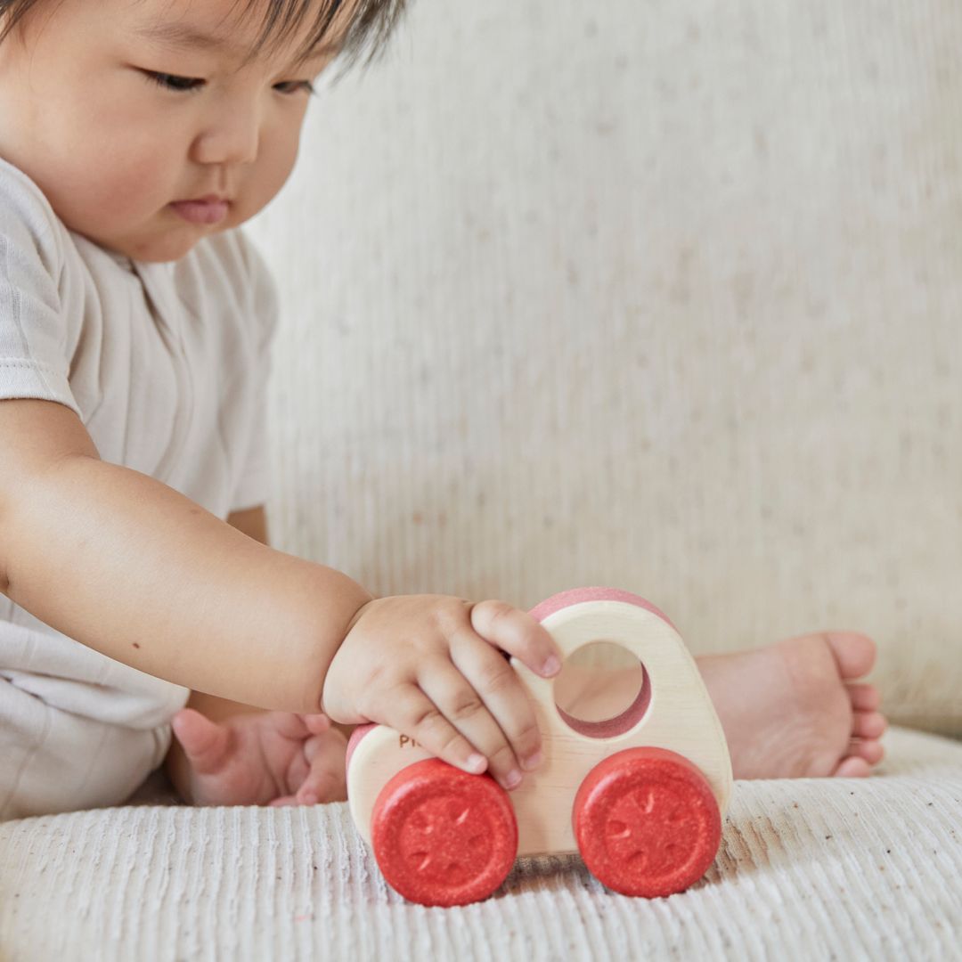 Timber Trail Cruiser