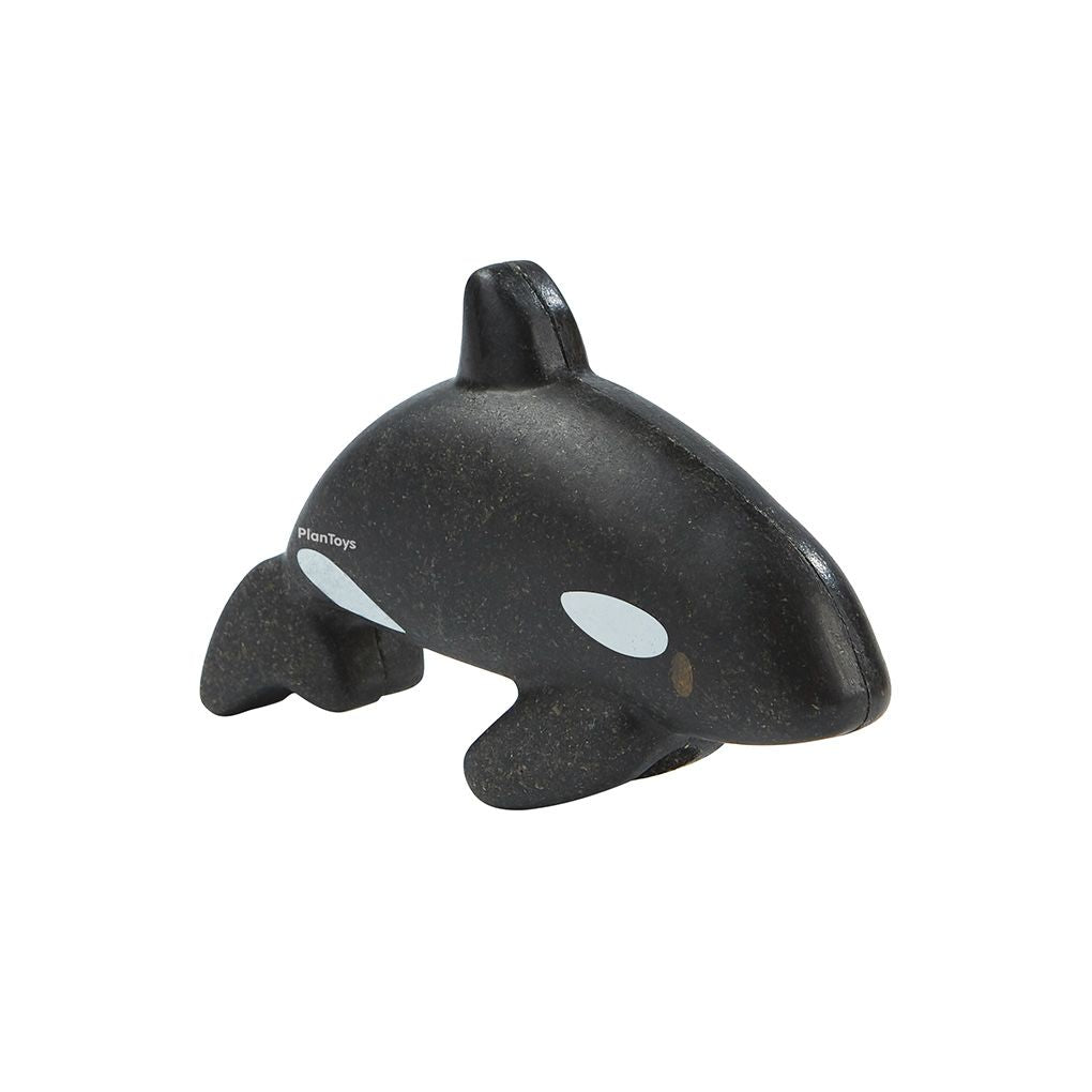 Orca