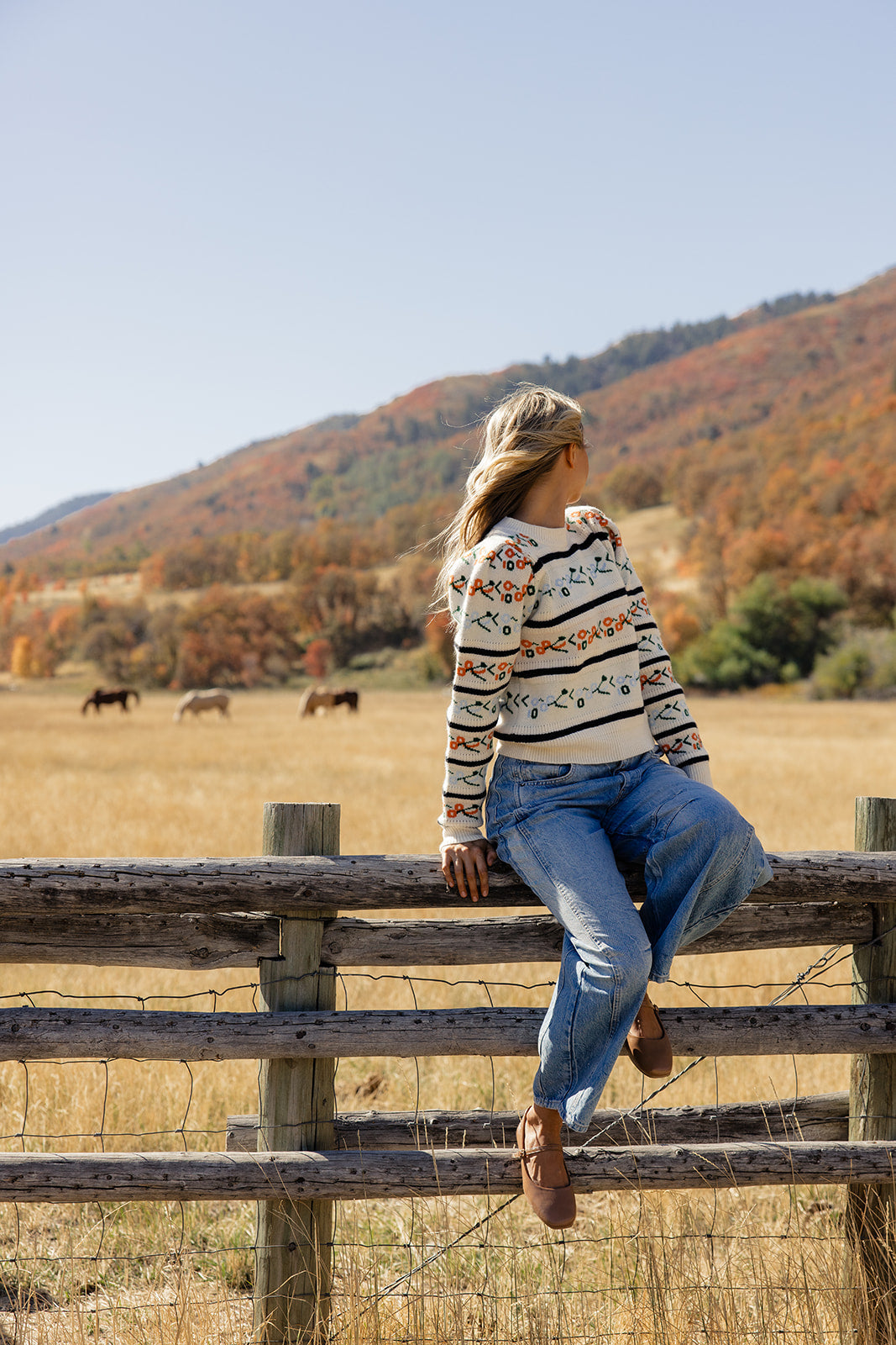 The Albatross Pattern Sweater