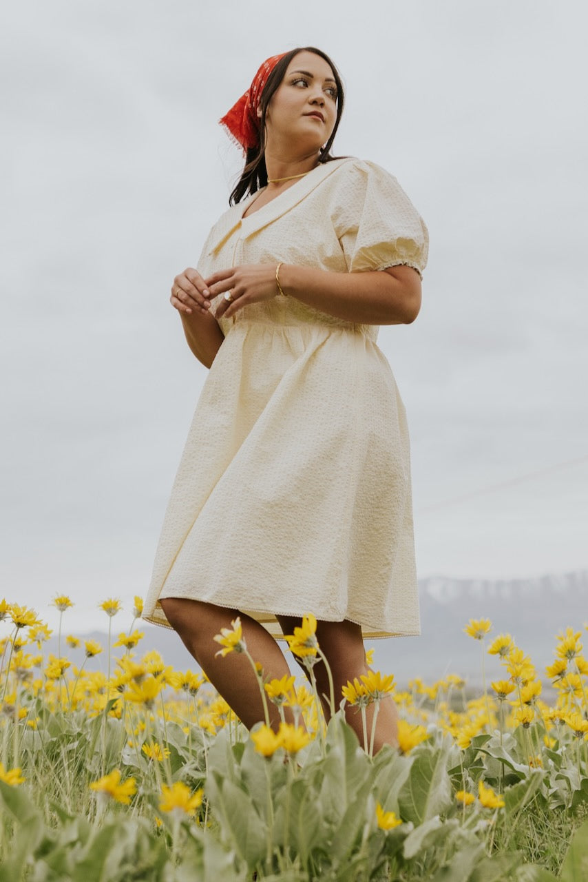 SALT Almaden Textured Puff Sleeve Dress