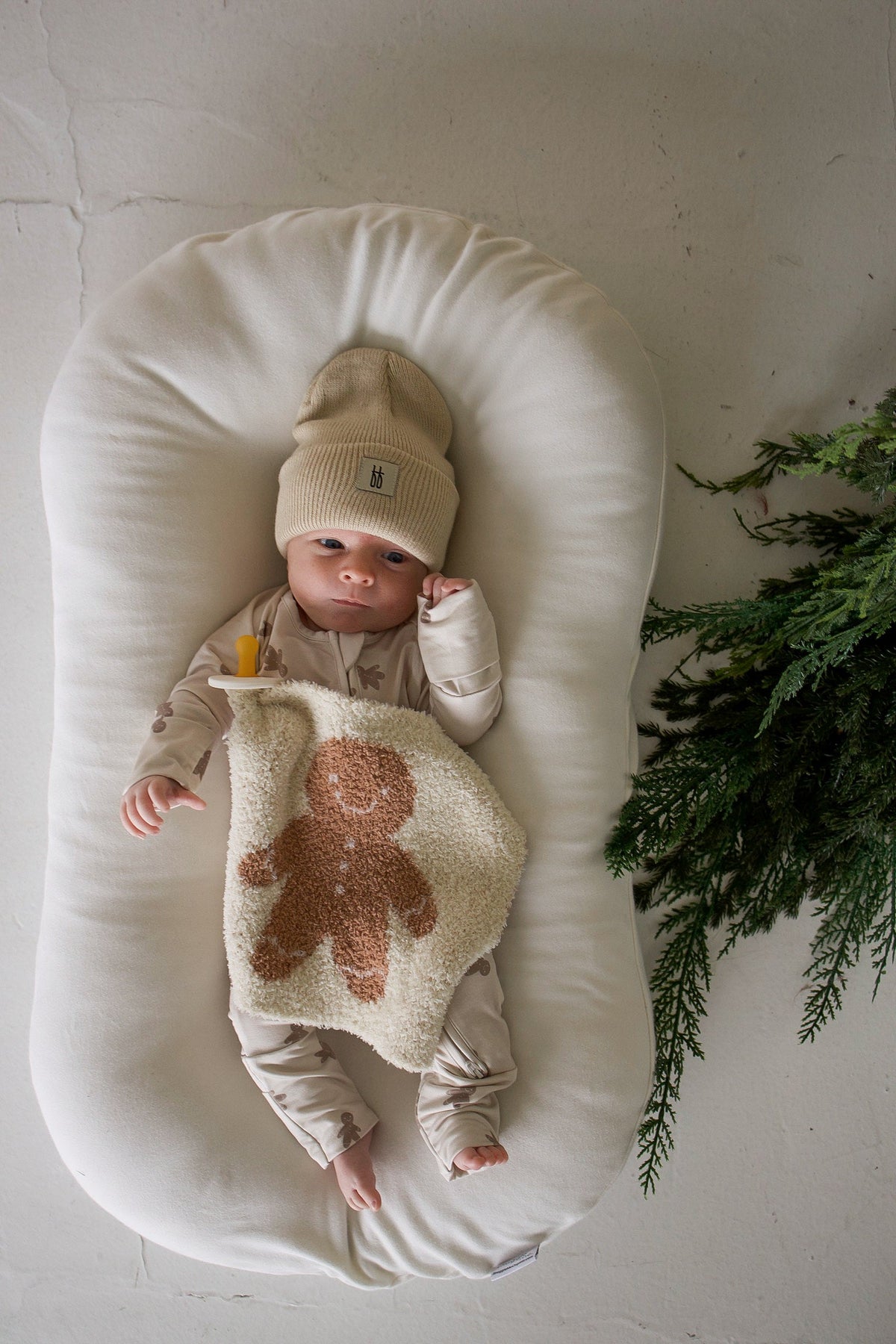 Lovey | Gingersnap