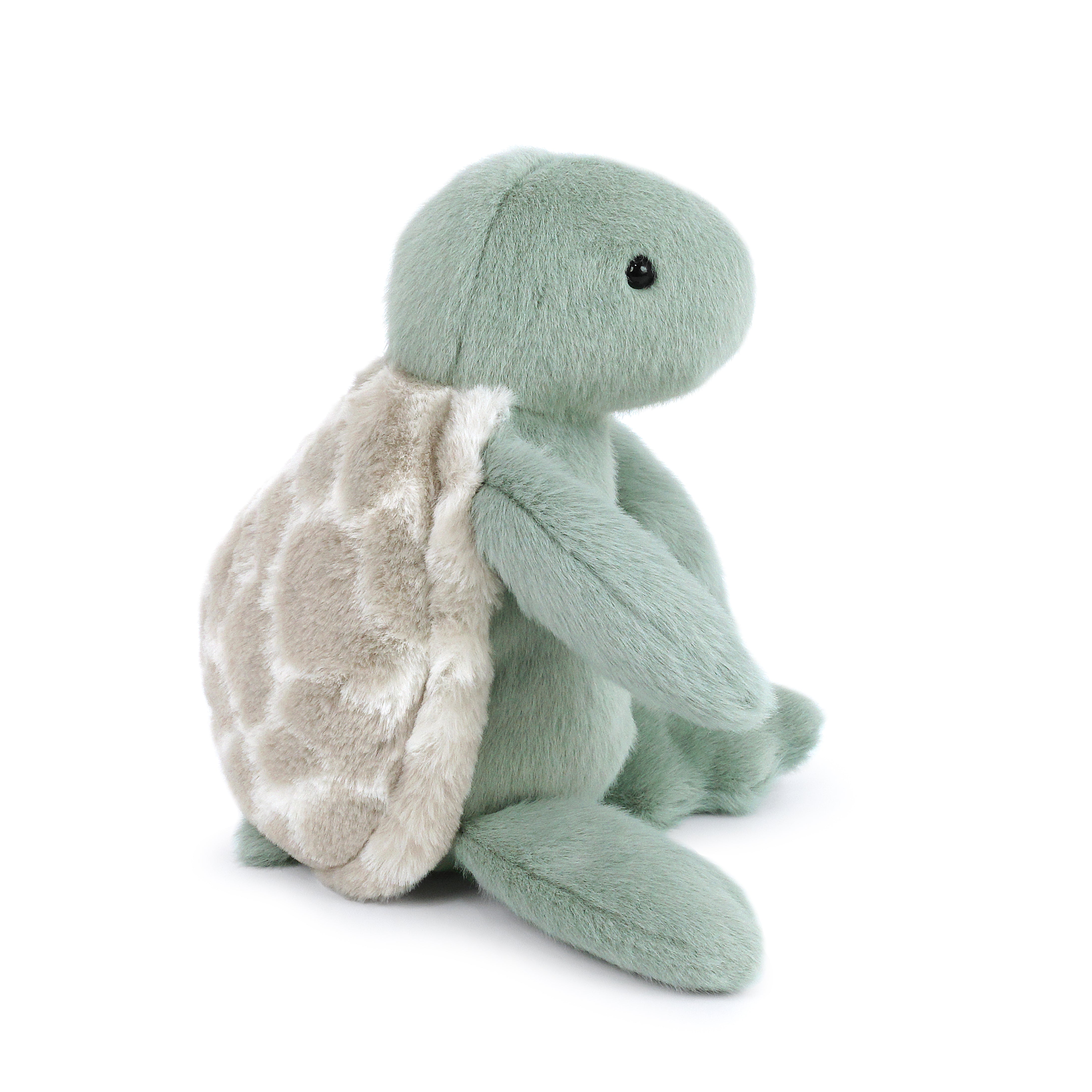 Taylor Cuddle Turtle Plush Toy