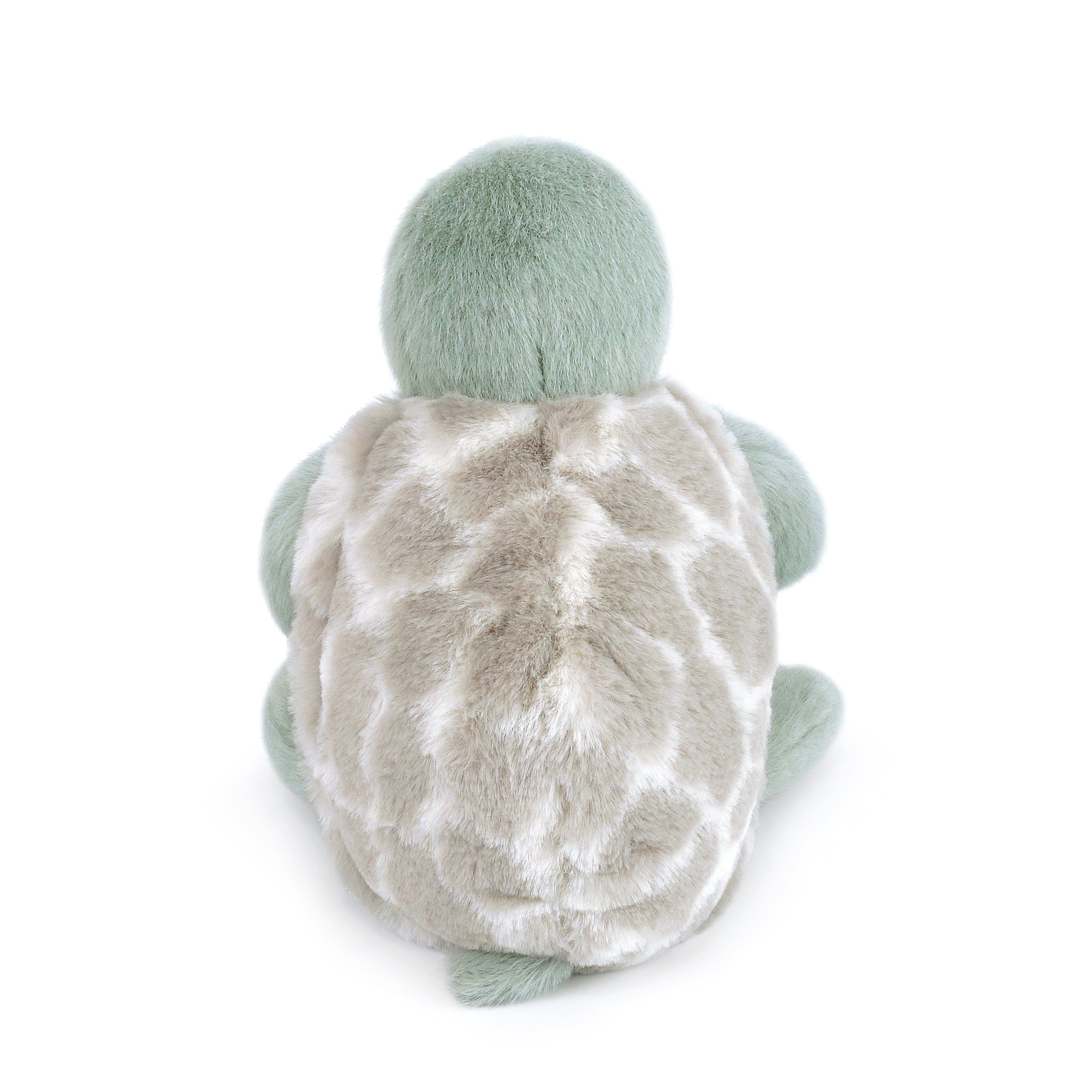 Taylor Cuddle Turtle Plush Toy