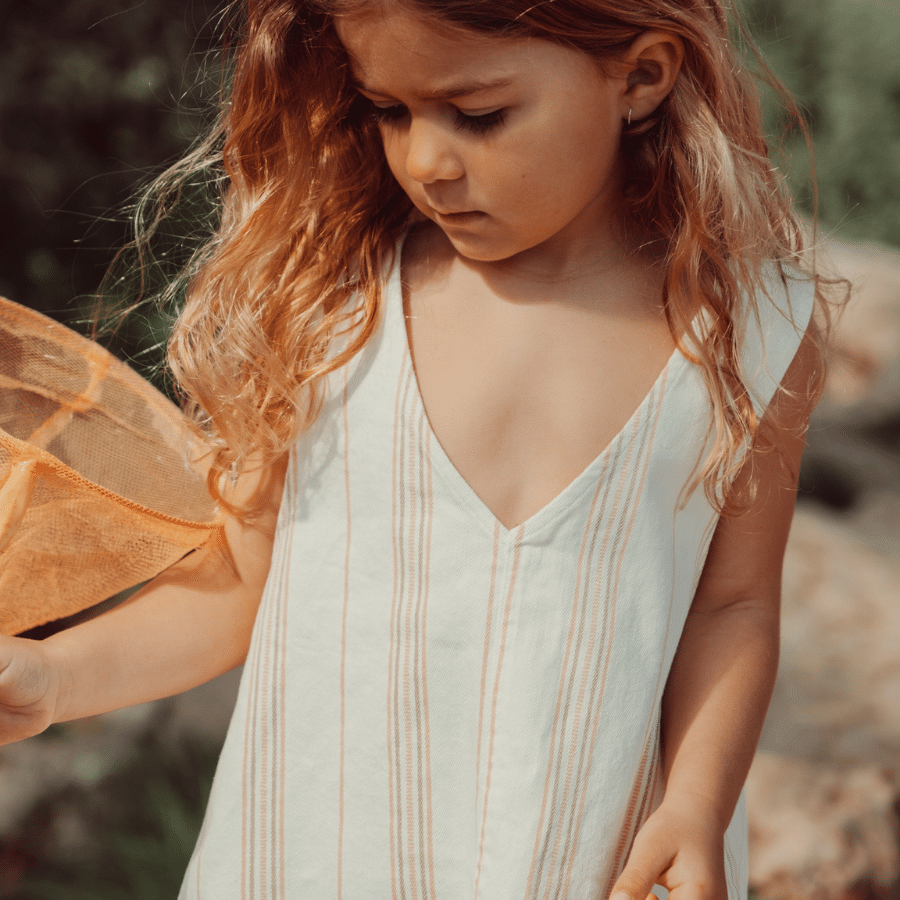 The Denim Dress - Rose Stripe