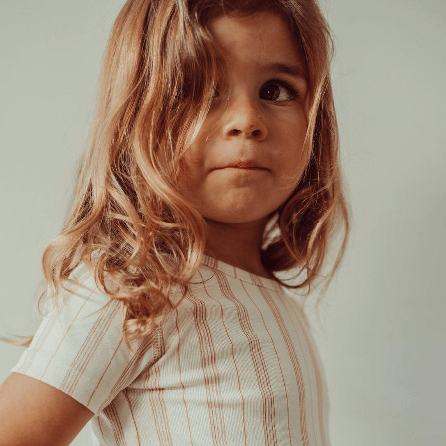 The Printed Long Sleeve Tee - Rose Stripe