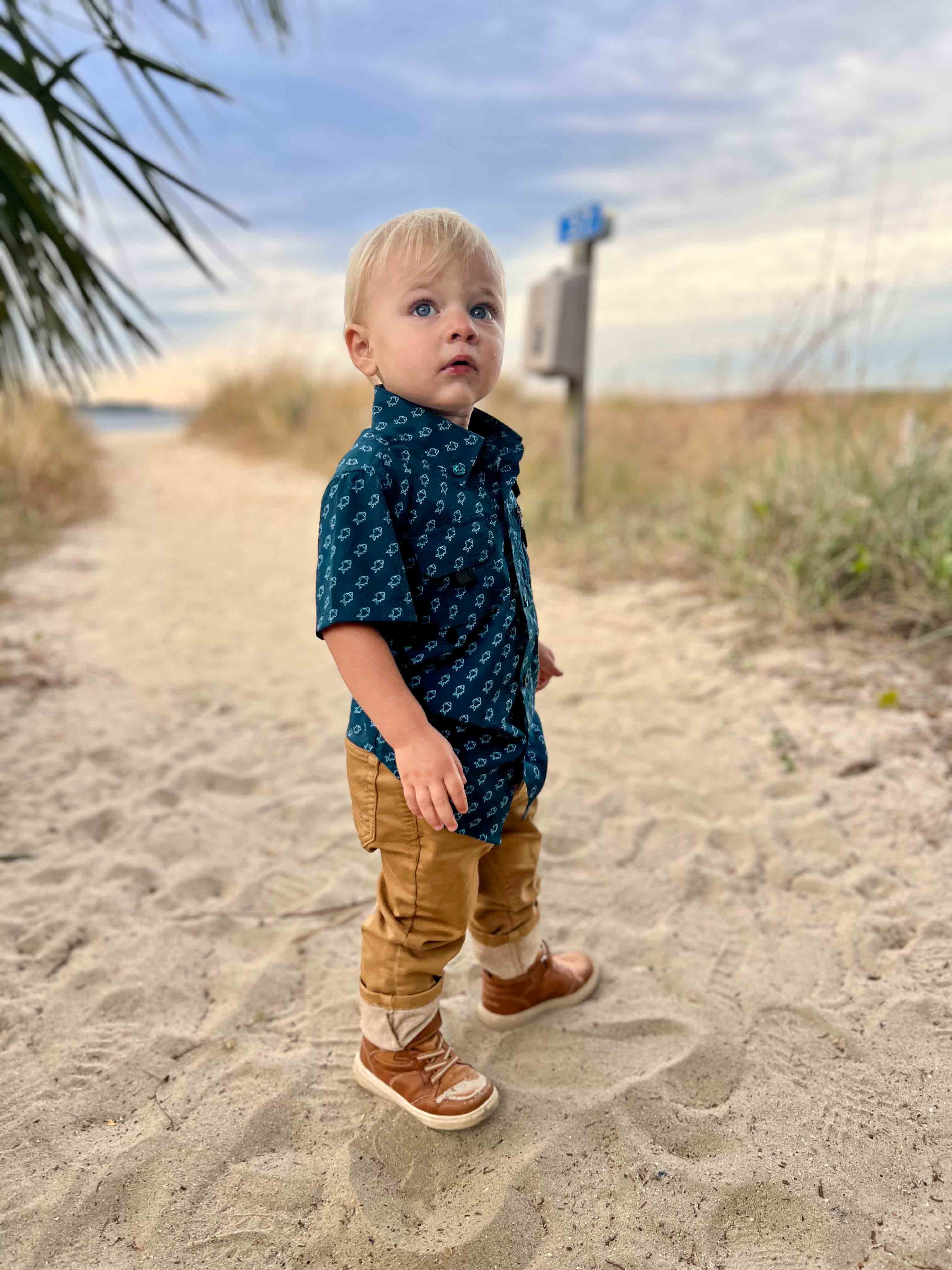 2026 Fishing shirt button up- blue fish