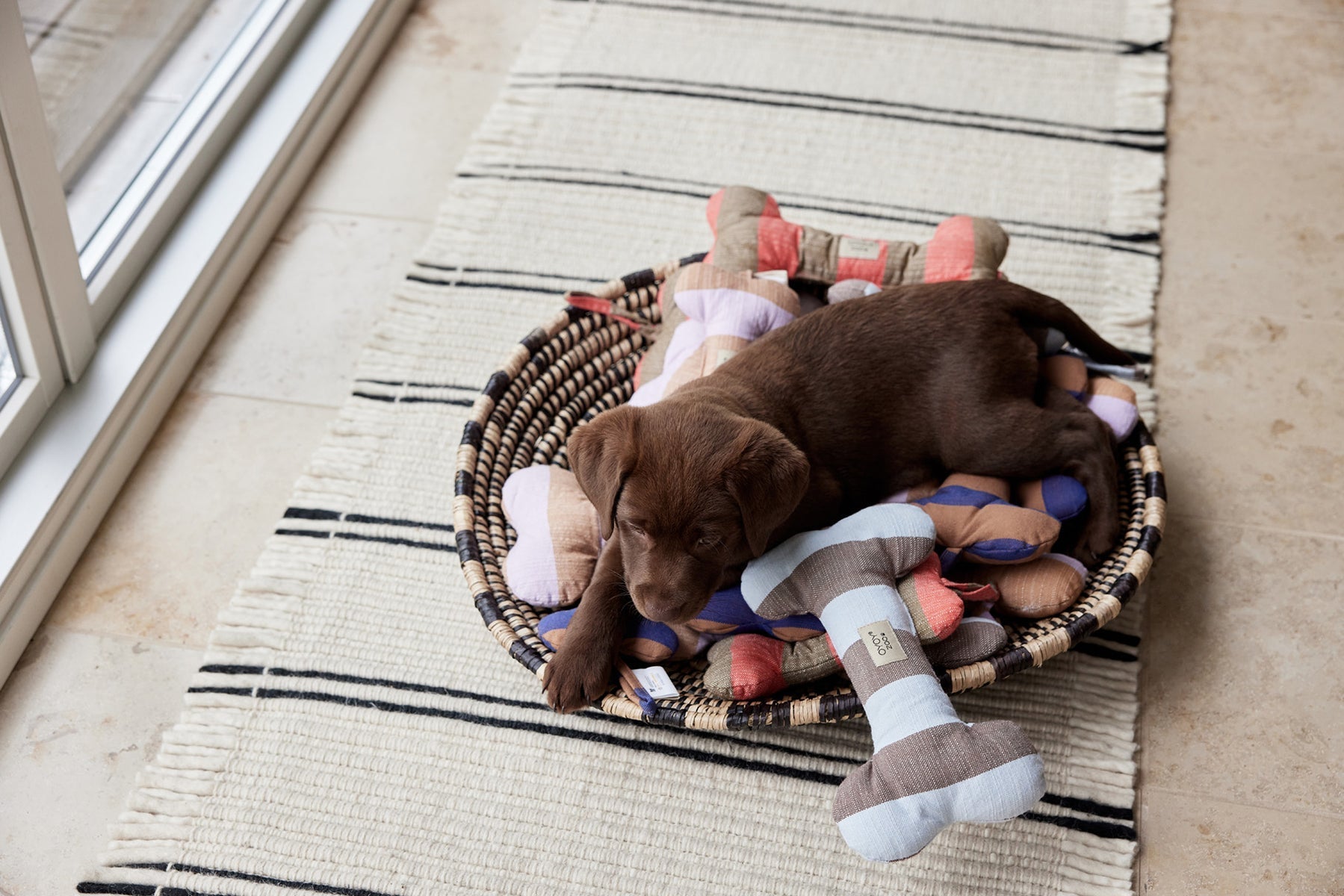 Ashi Dog Toy - Caramel/Blue