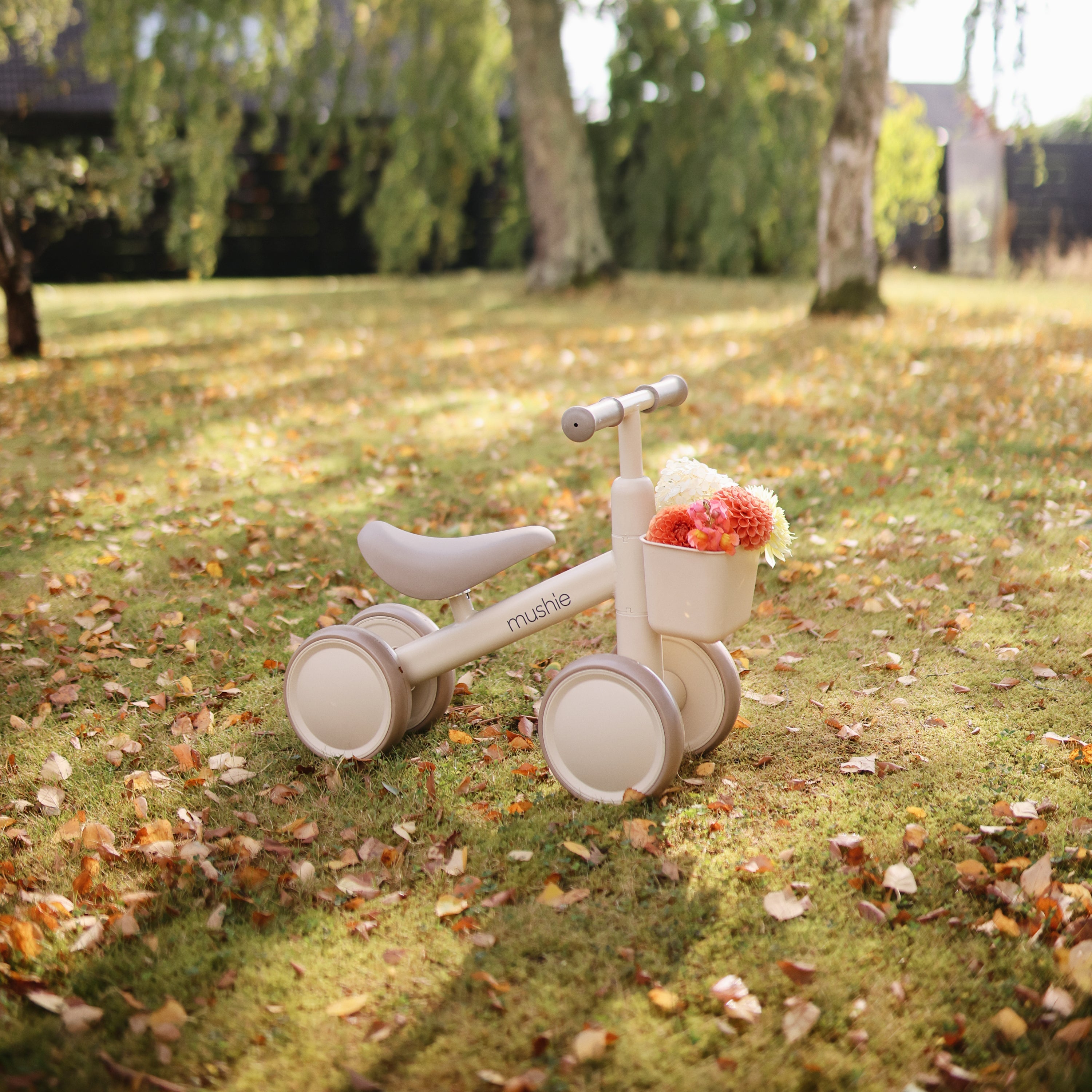 Mini Toddler Bike