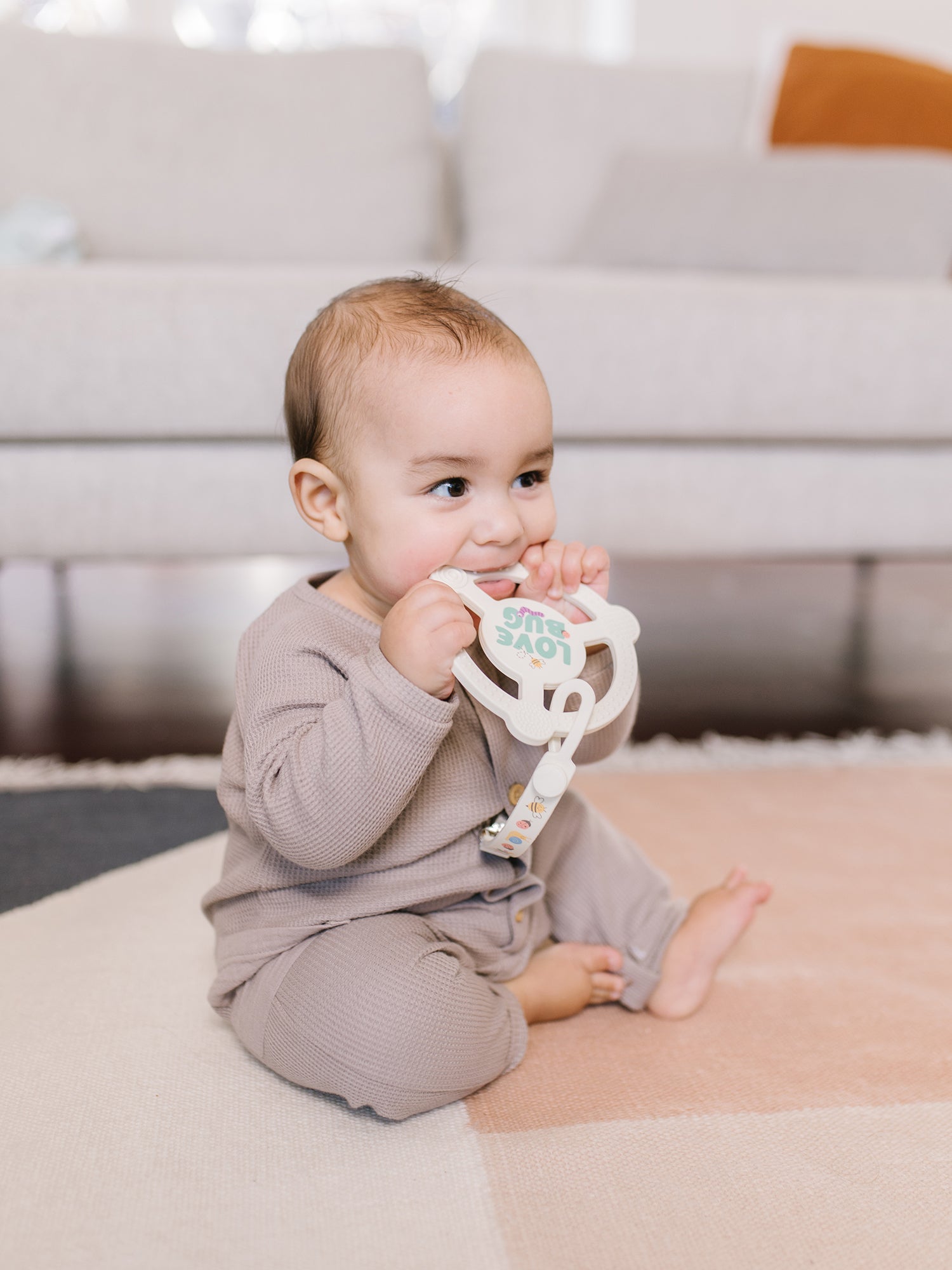 Silicone Teether Ring & Detachable Clip - Love Bug