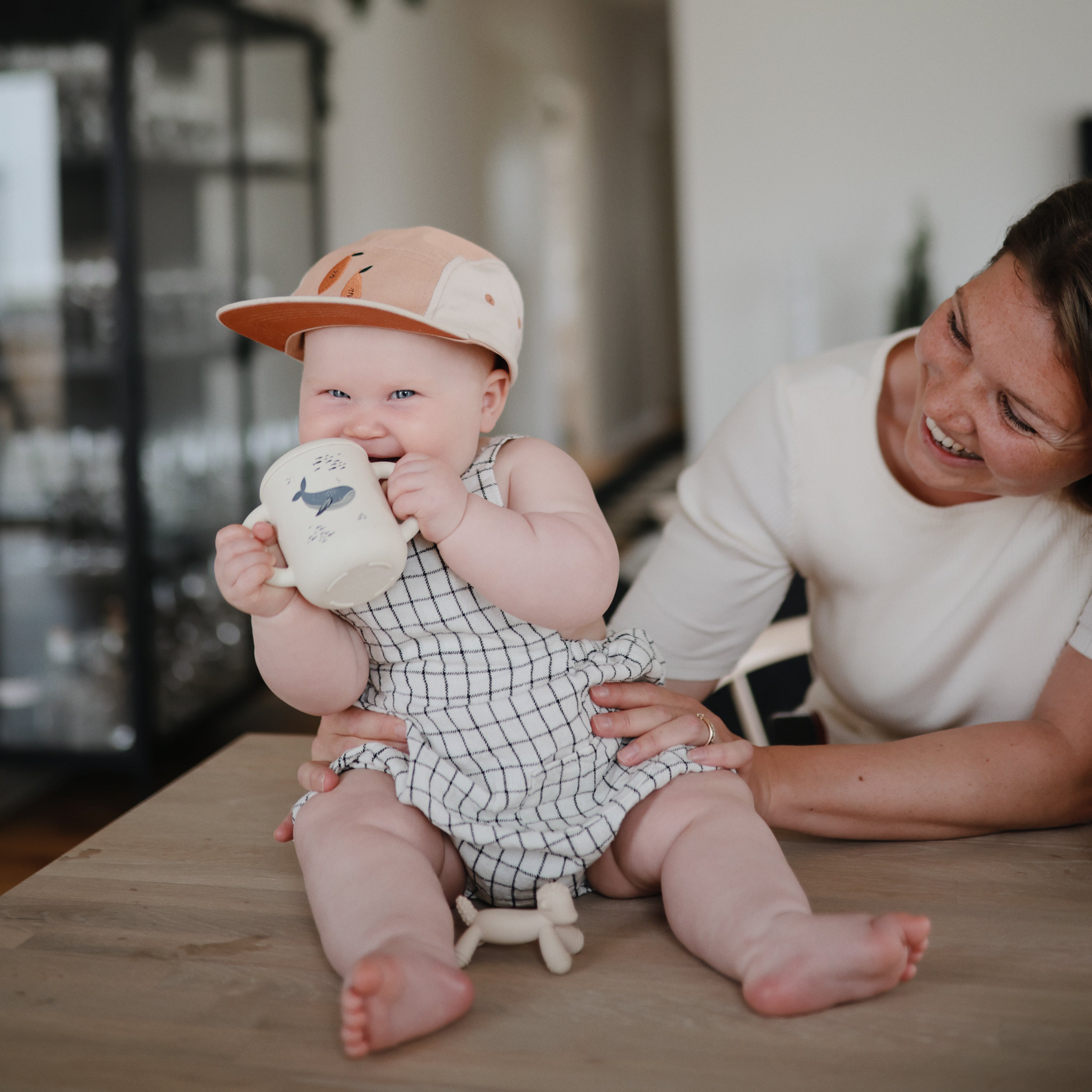 Silicone Training Cup + Straw Sippy Cups Mushie   