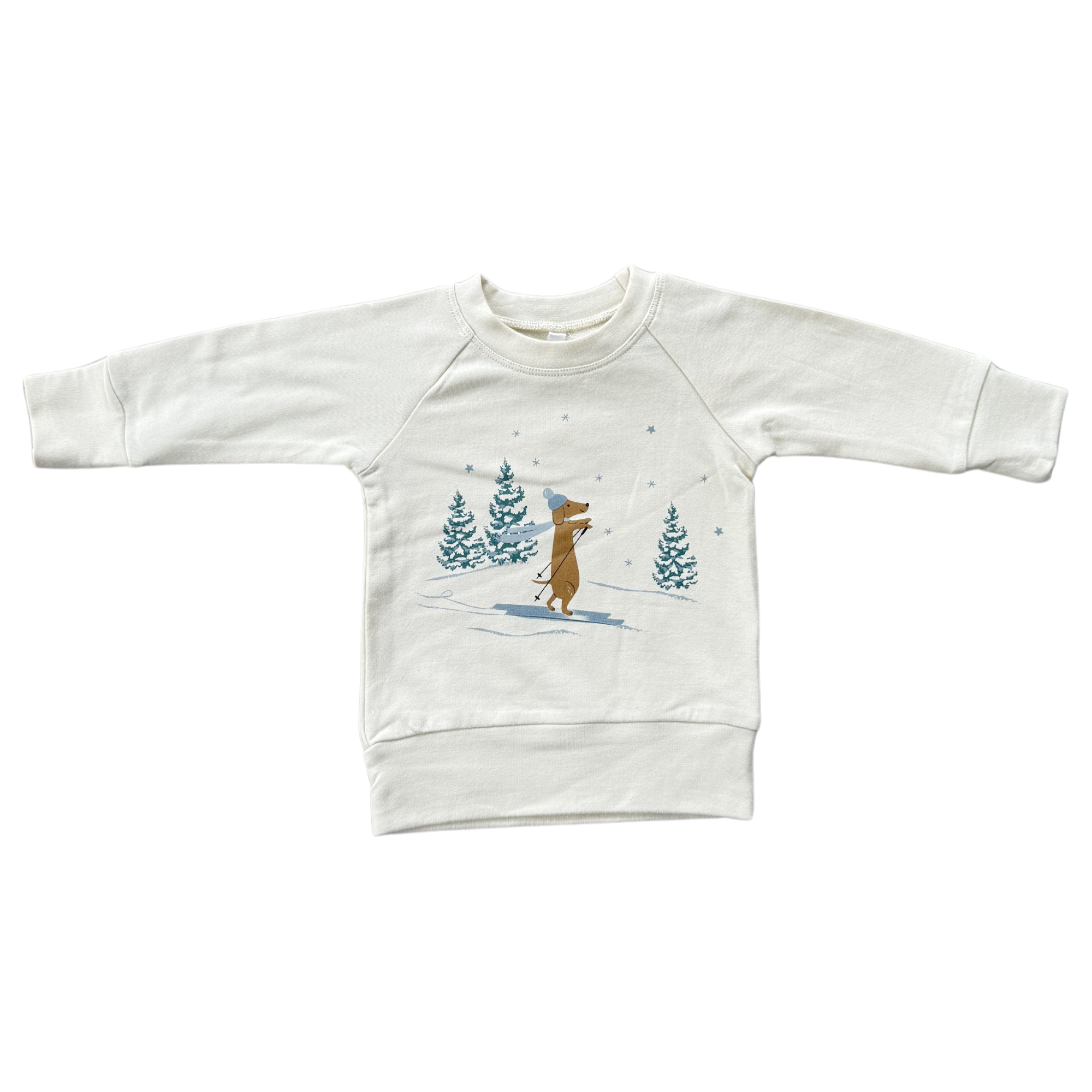 Boy's Raglan Sweatshirt