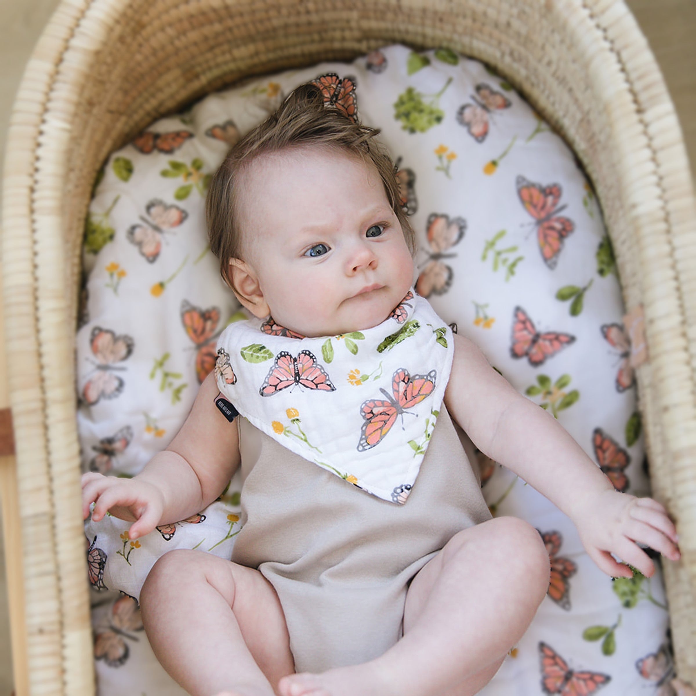 Butterfly Oh So Soft Muslin Bandana Bib Bib Bebe au Lait   