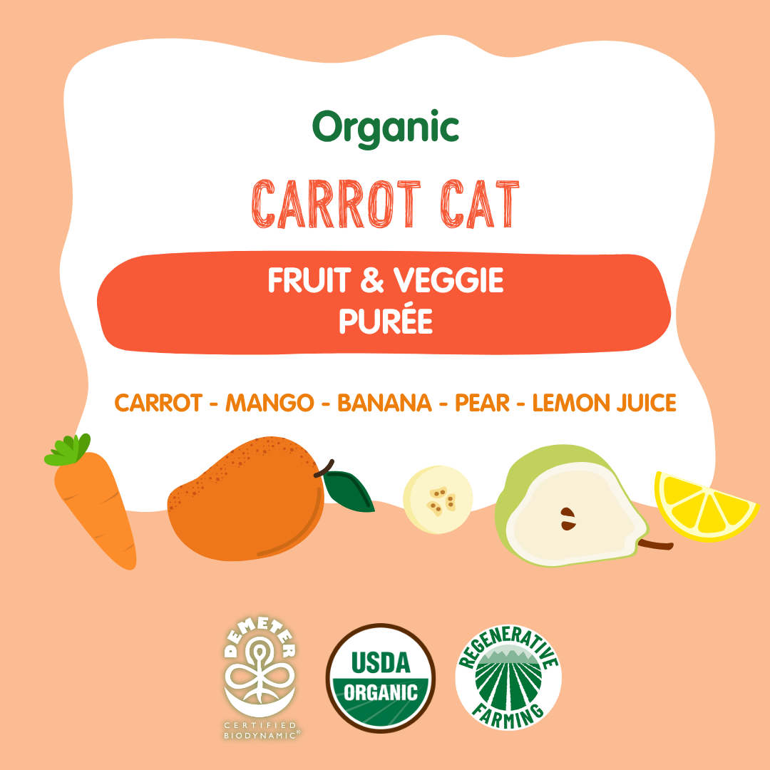 Holle Baby Food Pouches - Organic Fruit & Veggie Puree - Carrot Cat