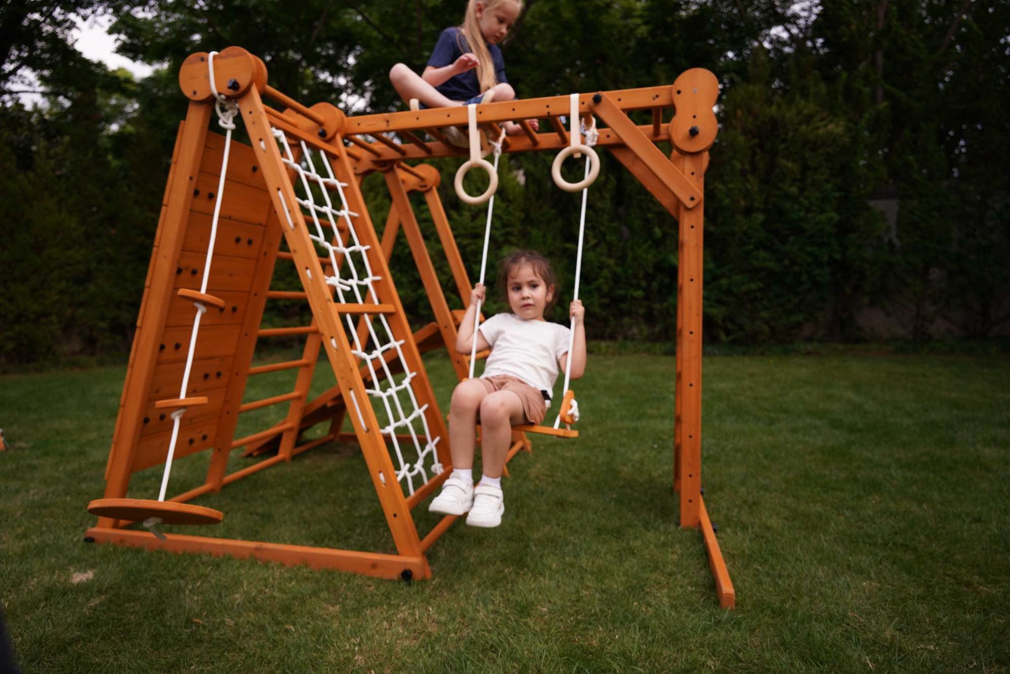 Chestnut - Outdoor and Indoor 8-in-1 Jungle Gym for Toddlers Playset Outdoor Avenlur.com   