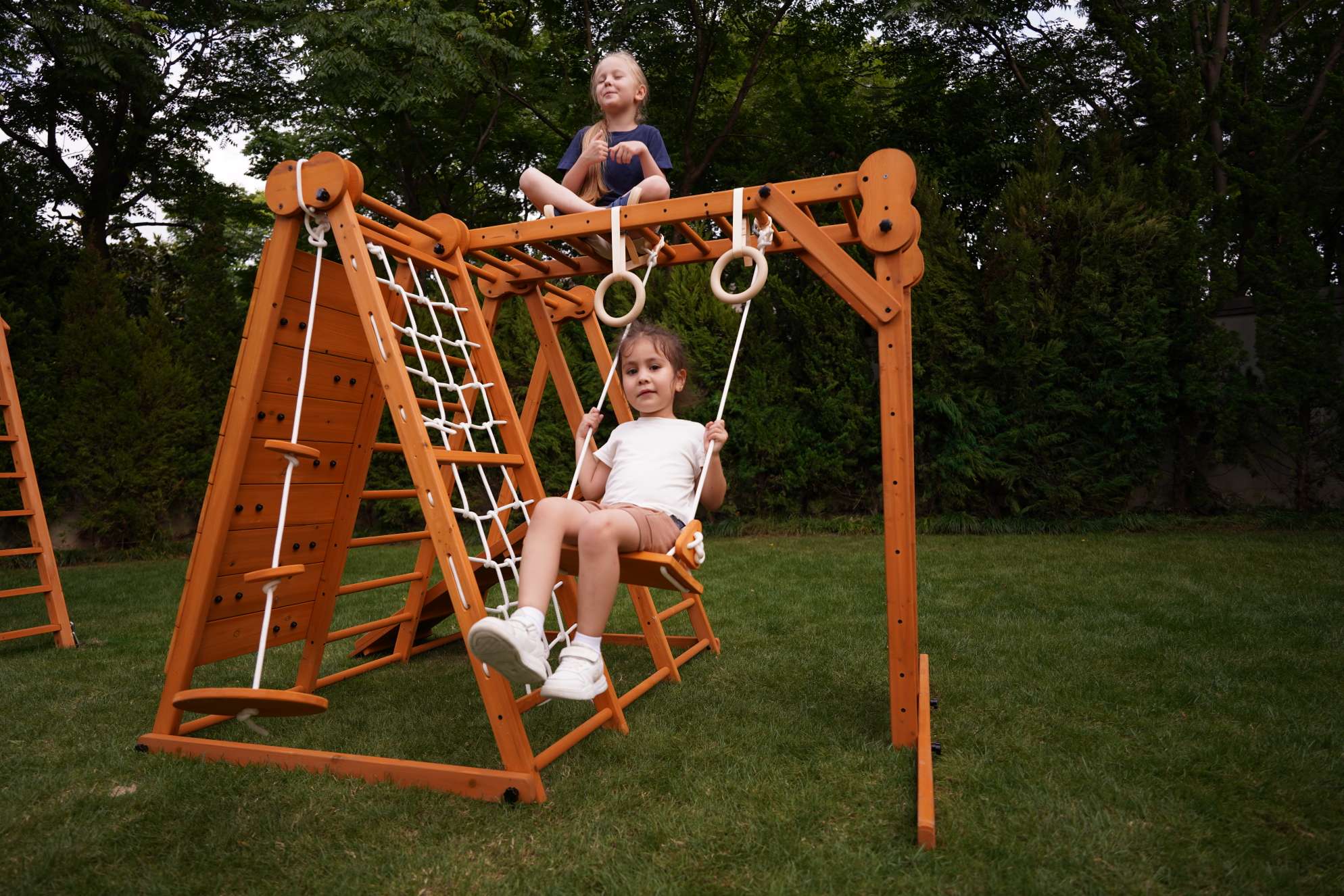 Chestnut - Outdoor and Indoor 8-in-1 Jungle Gym for Toddlers Playset Outdoor Avenlur.com   