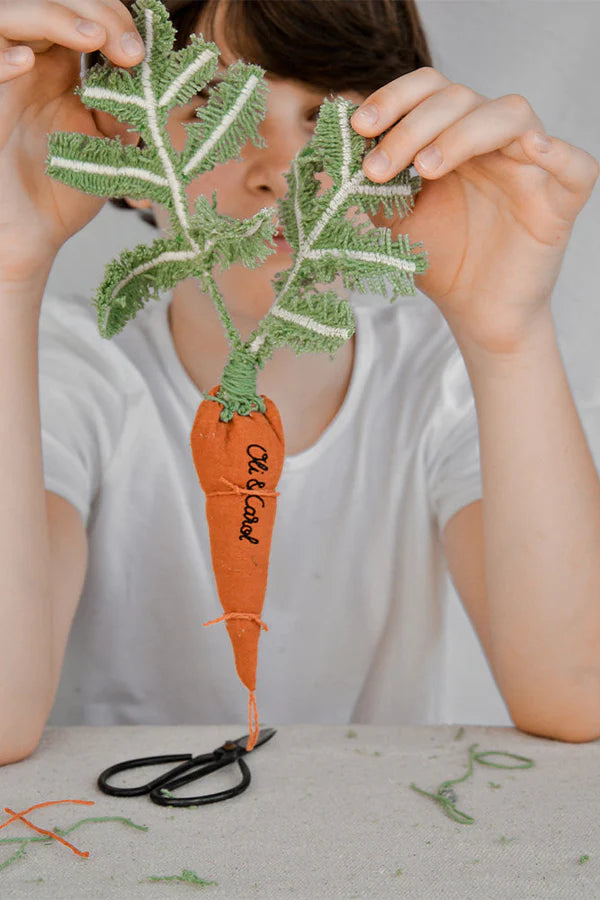 DIY CATHY THE CARROT  Little Wonder & Co   