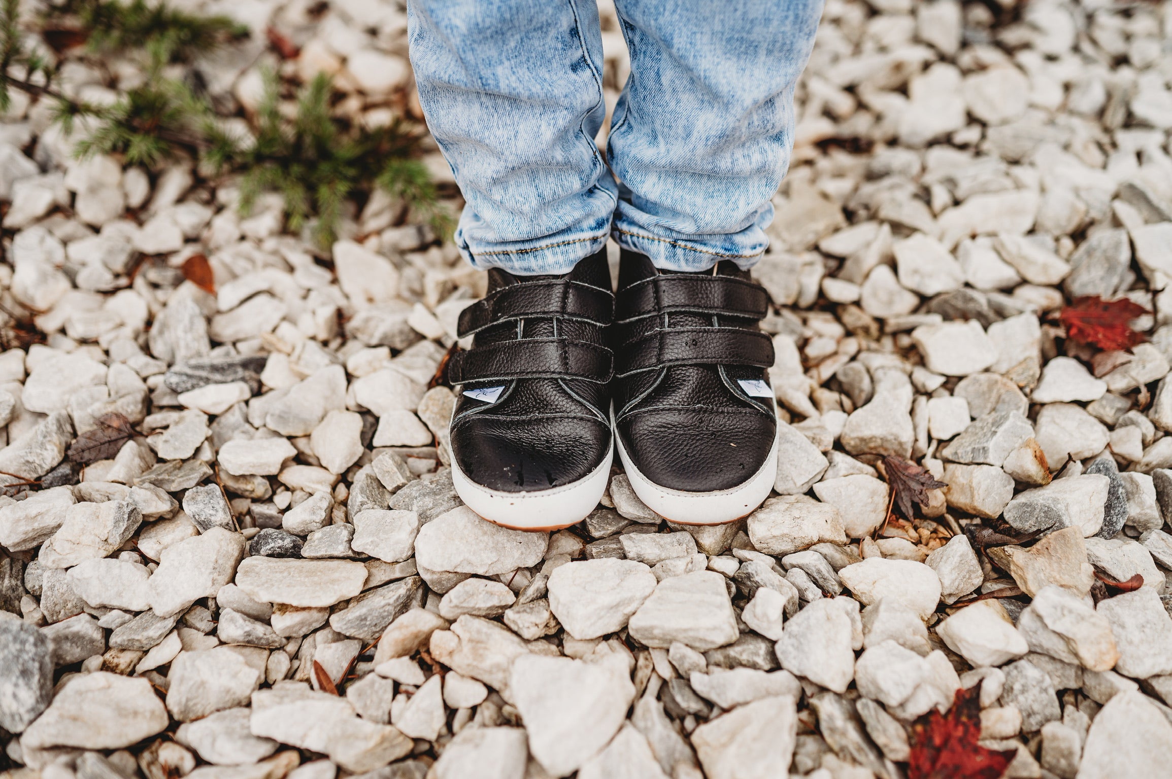 Casual Black Low Top