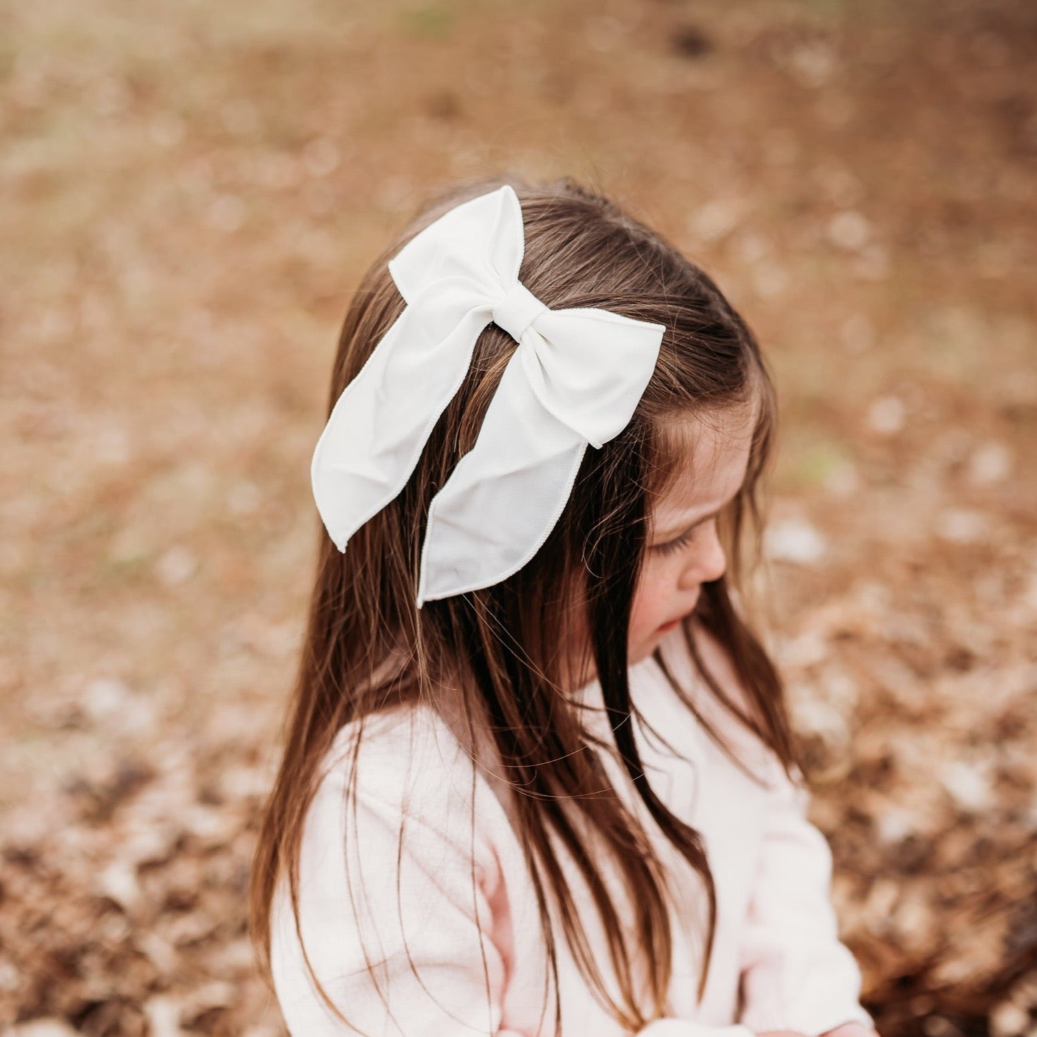 Little Love Bug Bows