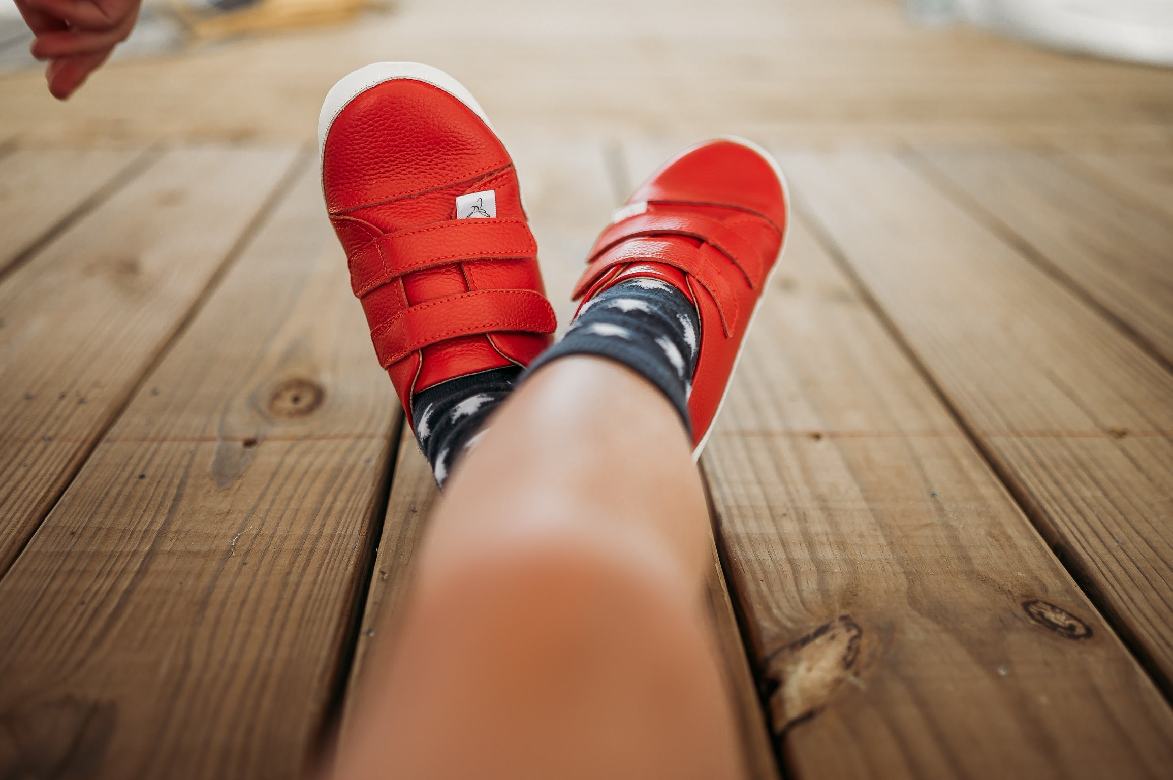 Casual Red Low Top