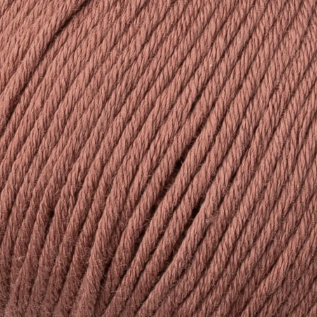 Darcy Cardi