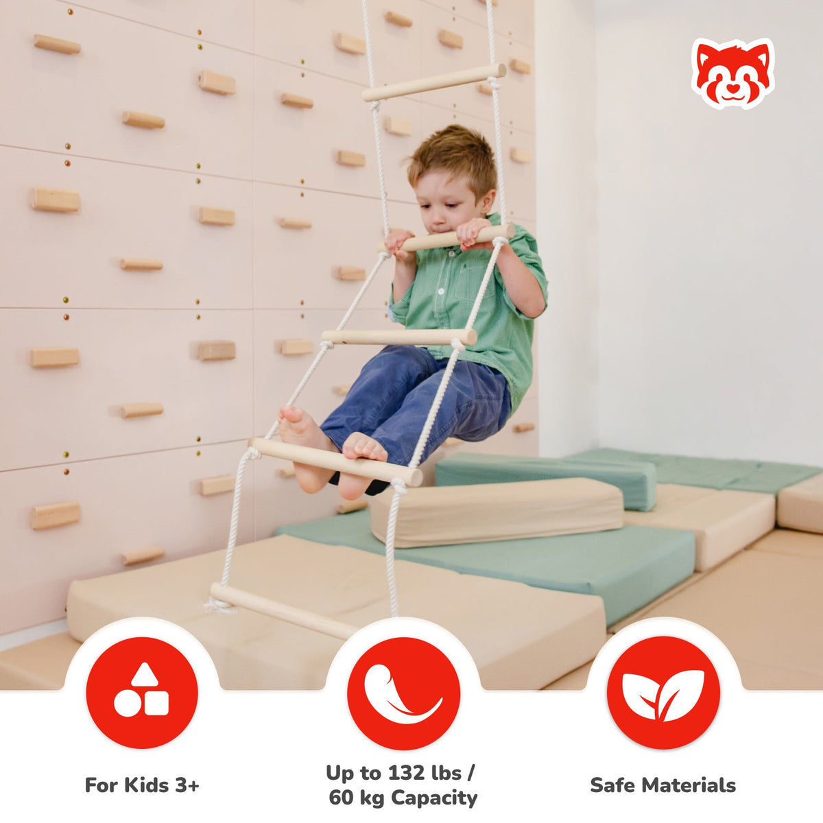 Ceiling Mounted Climbing Ladder