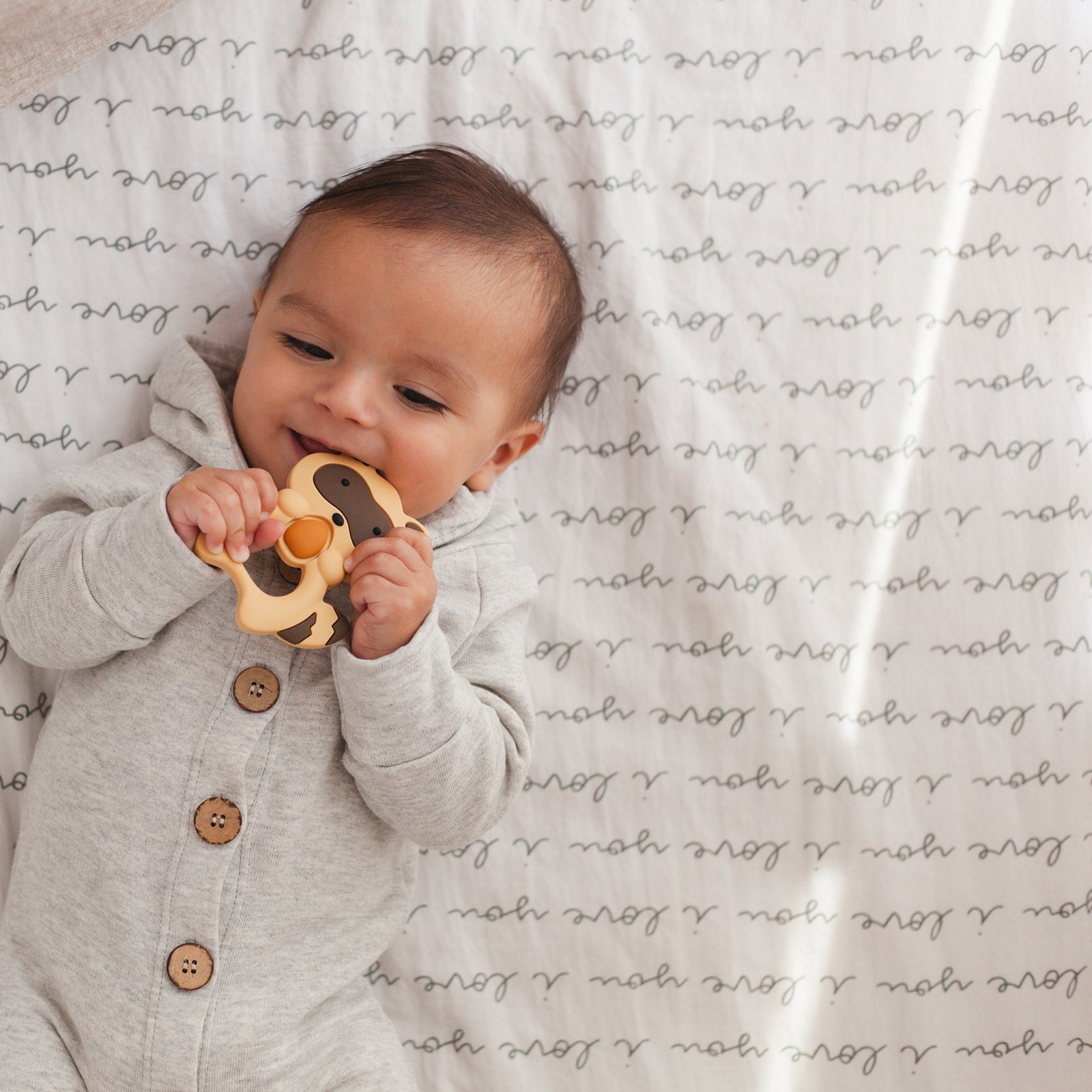 Raccoon Teether Set // Brown