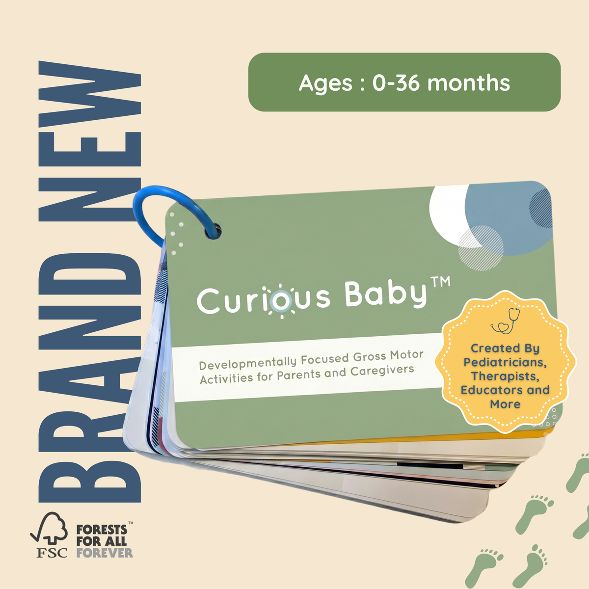 Curious Baby Gross Motor Development Cards