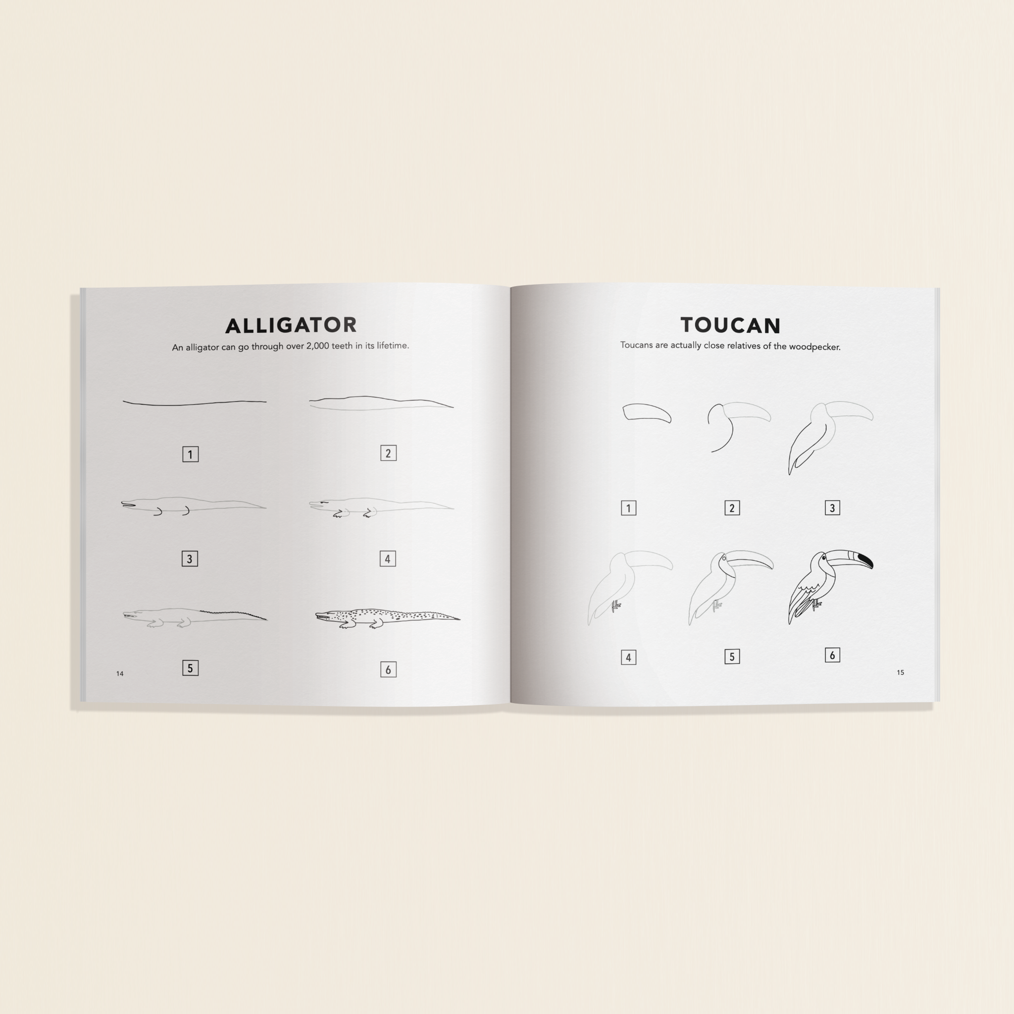 All the Animals: How to Draw Books for Kids [Mini]