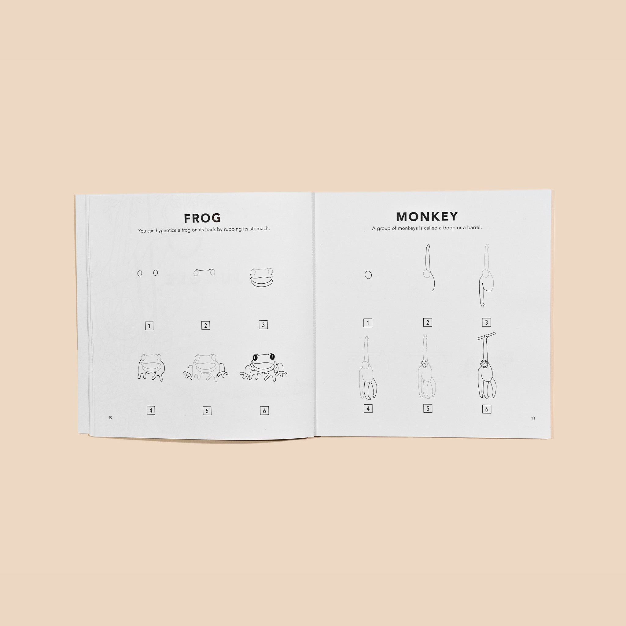 All the Animals: How to Draw Books for Kids