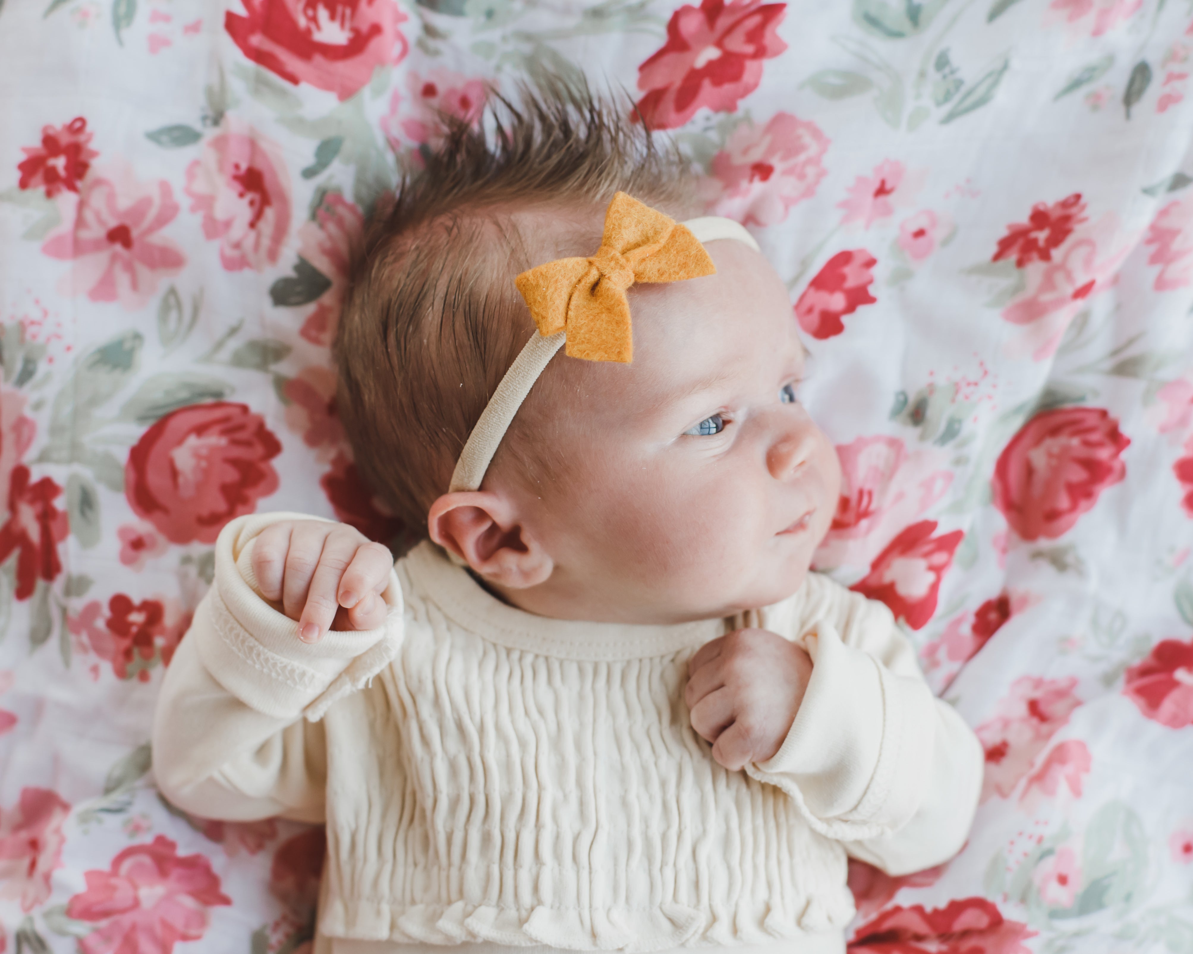 Butterscotch | Felt Baby Bow