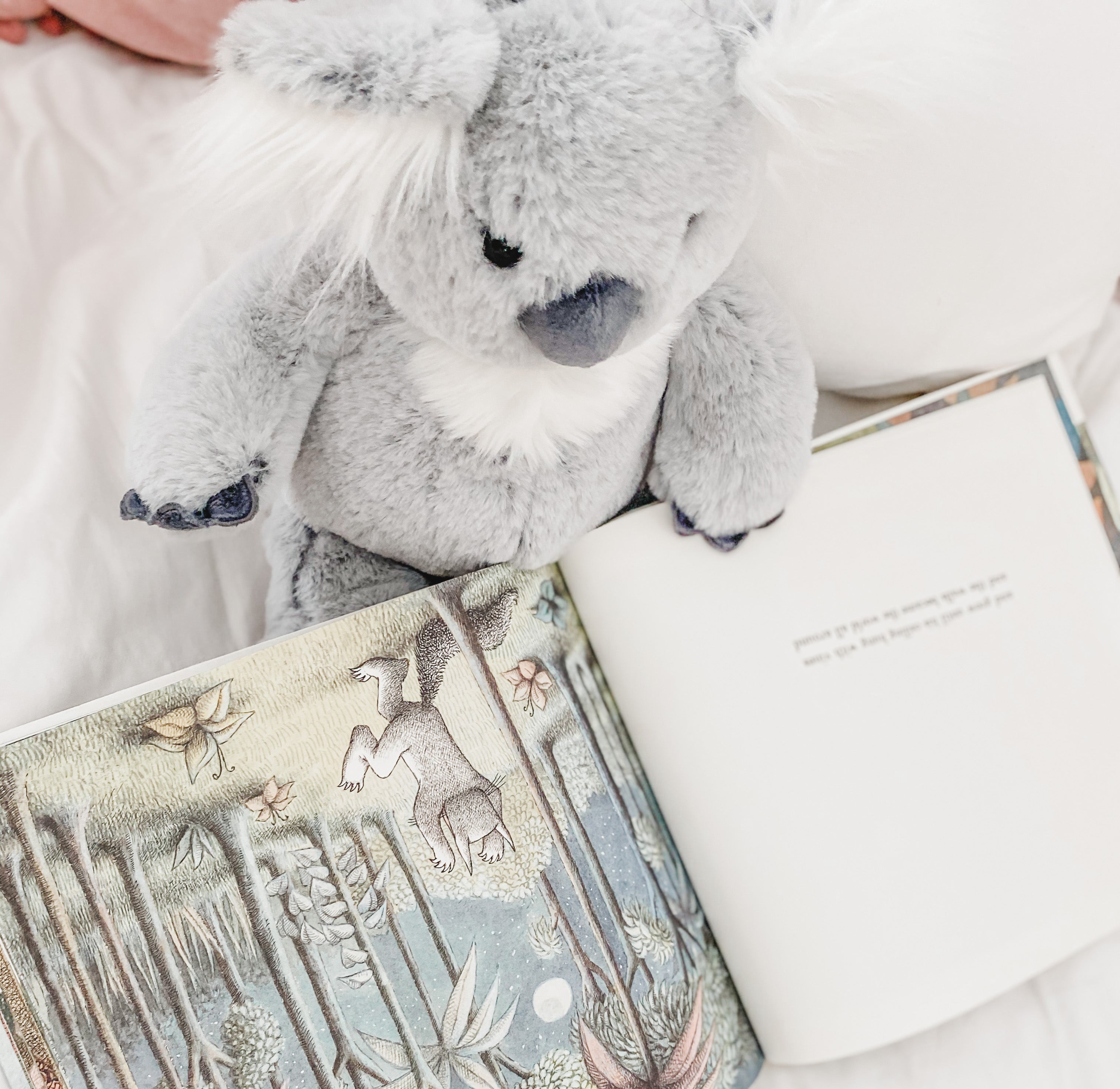 Sydney Koala Plush Toy