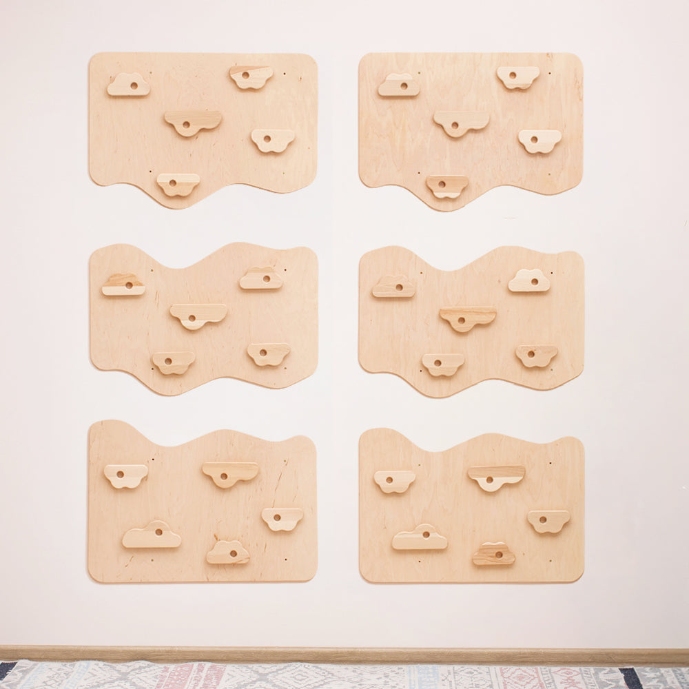 Home Climbing Wall