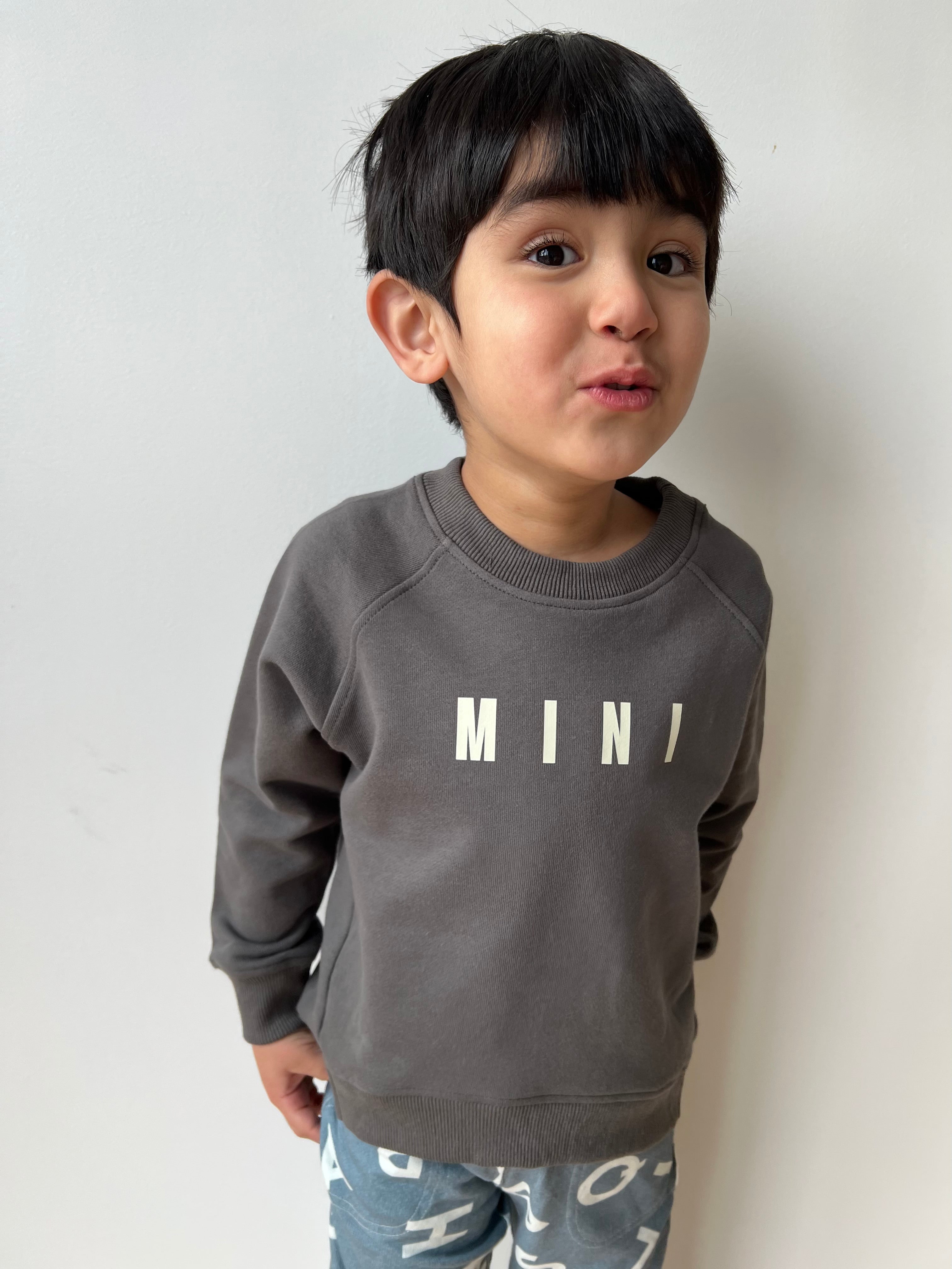 MINI Sweatshirt Dark Gray Baby & Toddler Tops The picnic day   