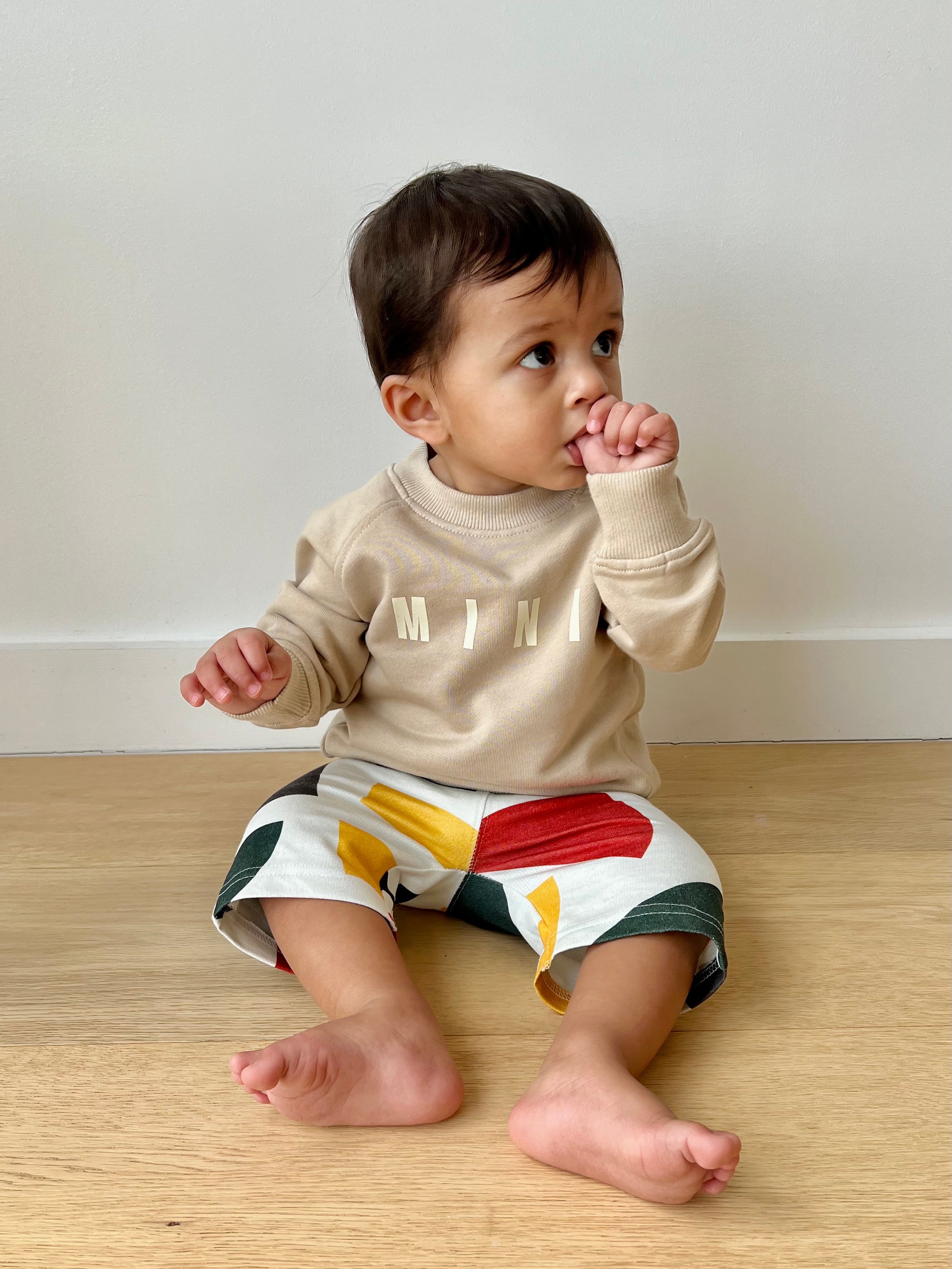 MINI Sweatshirt Tan Baby & Toddler Tops The picnic day   