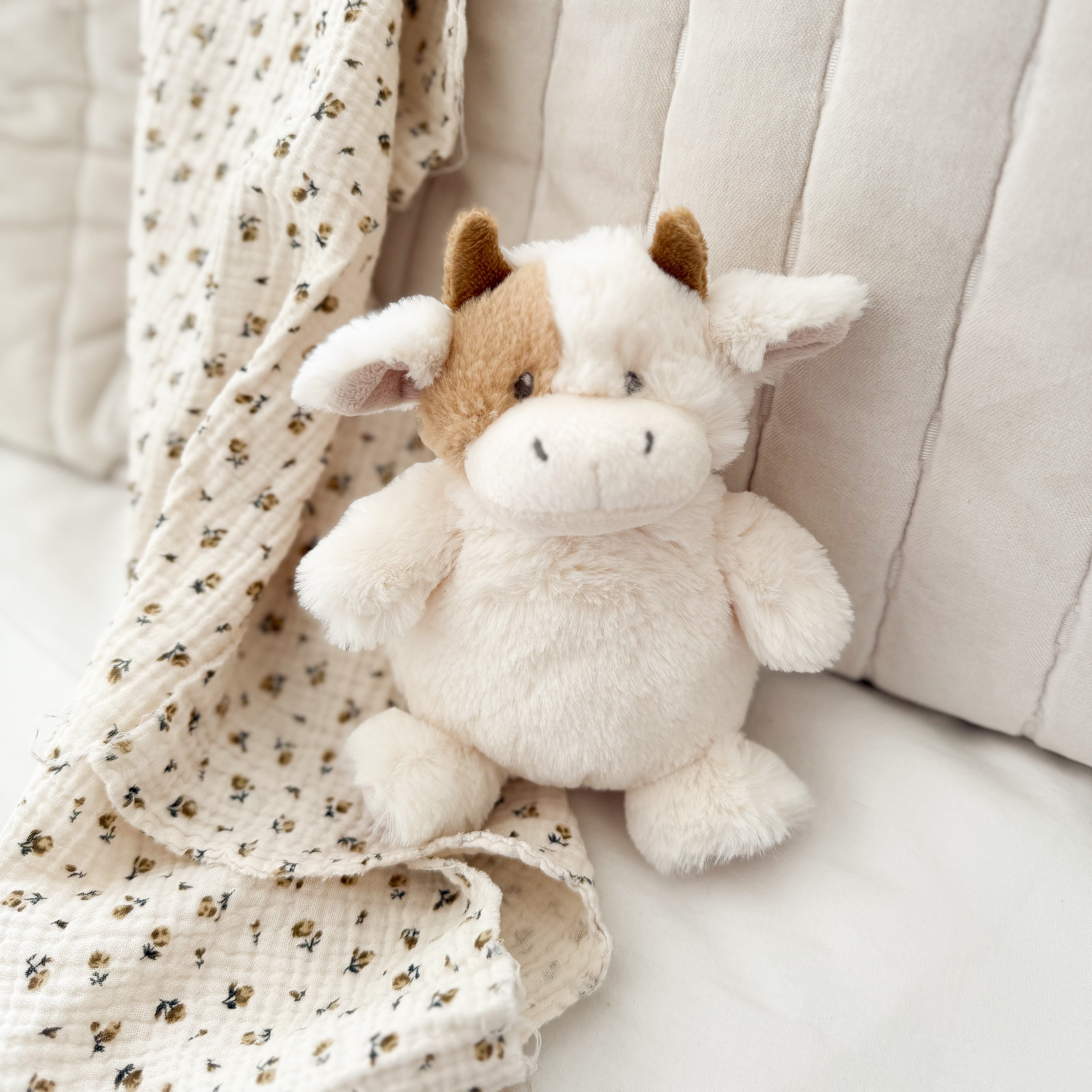 Mocha Petit Cow