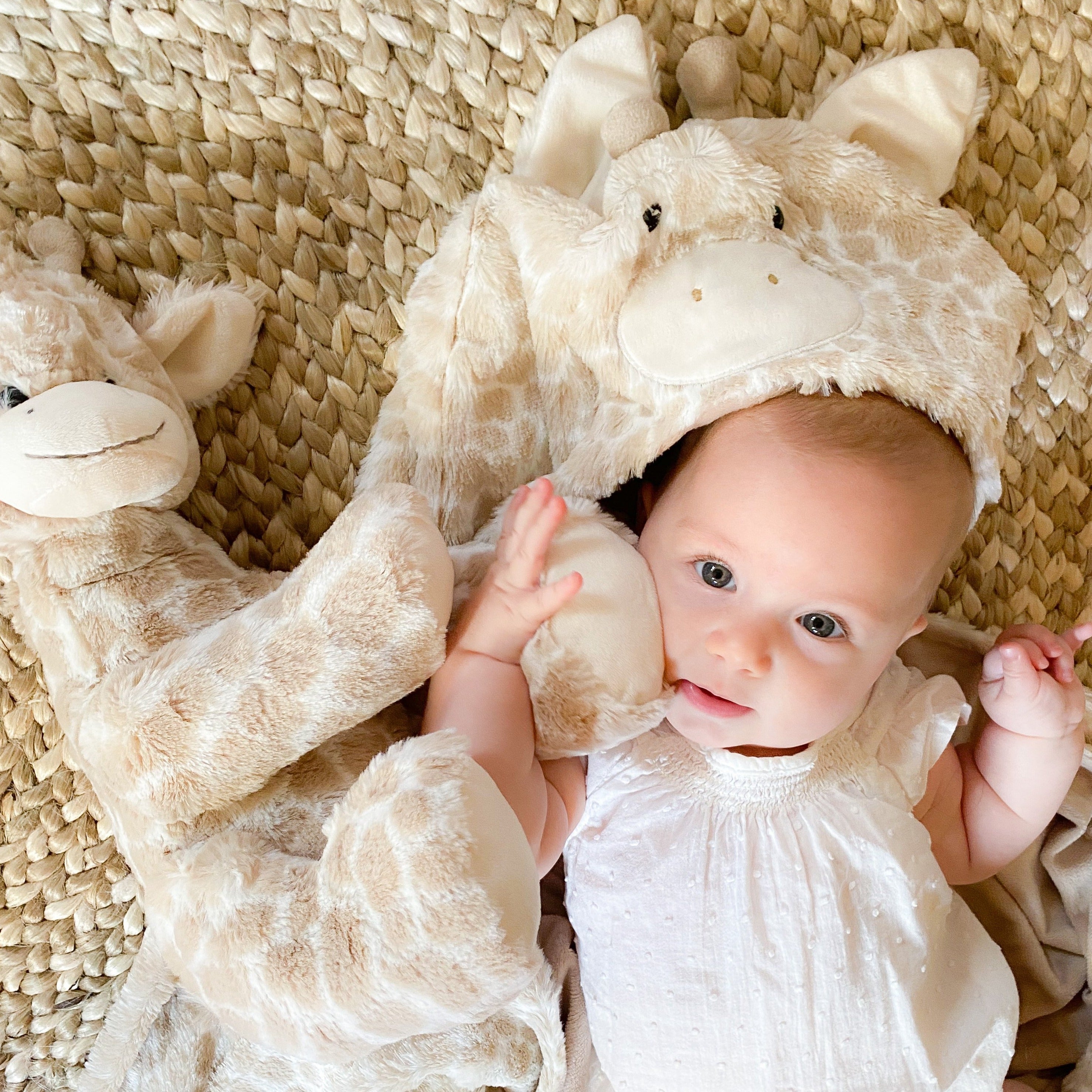 Gentry Giraffe Hooded Blanket