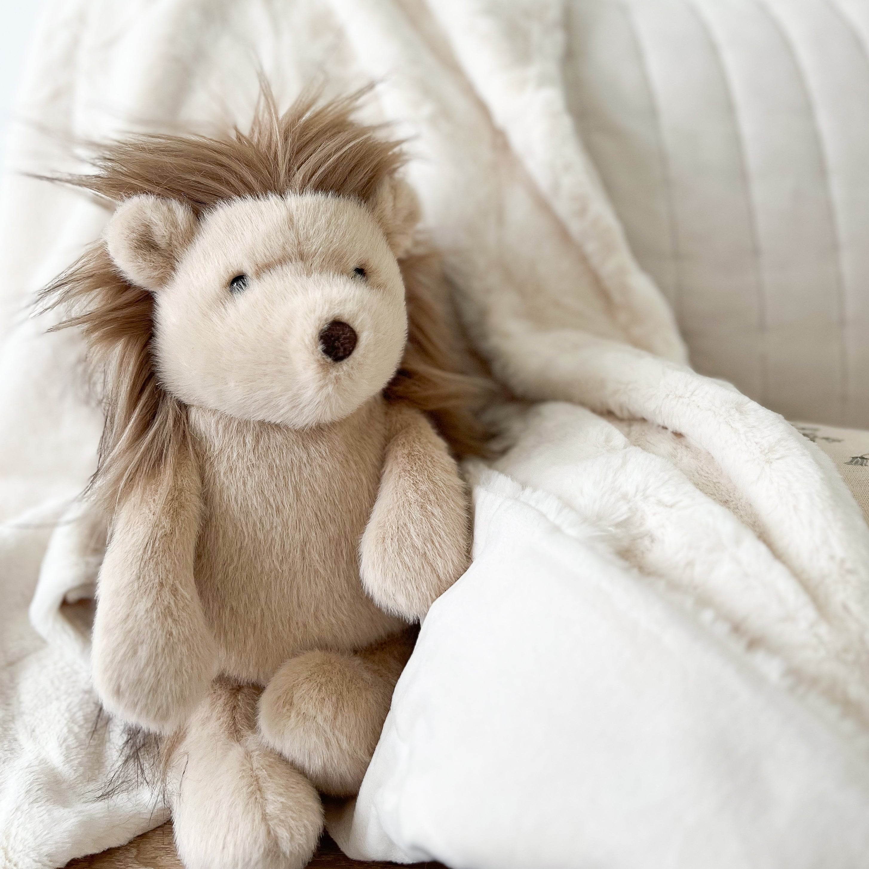 Harlow Hedgehog