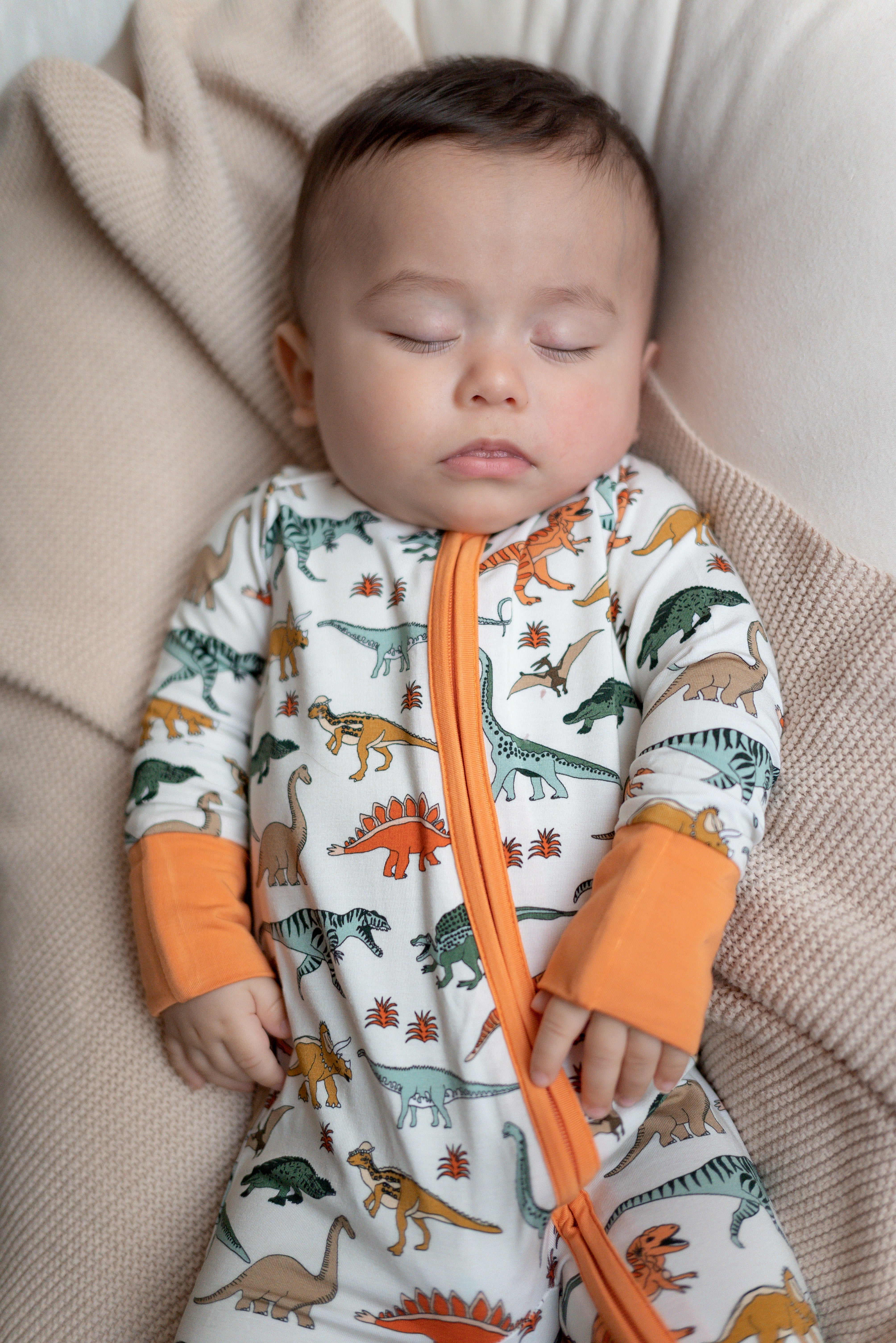 Boho Dinosaur | Zippy