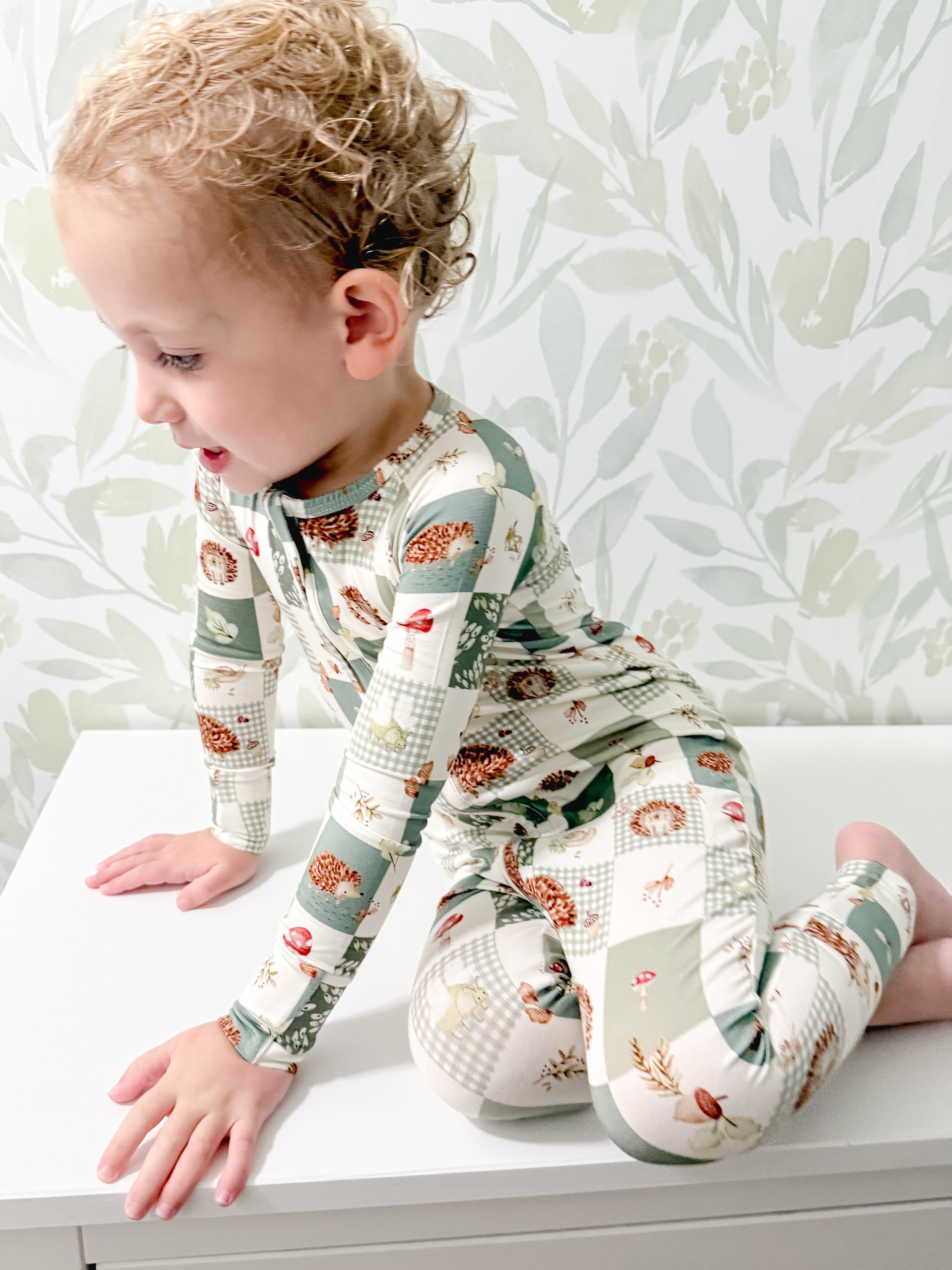 Harvest Hedgehogs Bamboo Zippy Pajamas